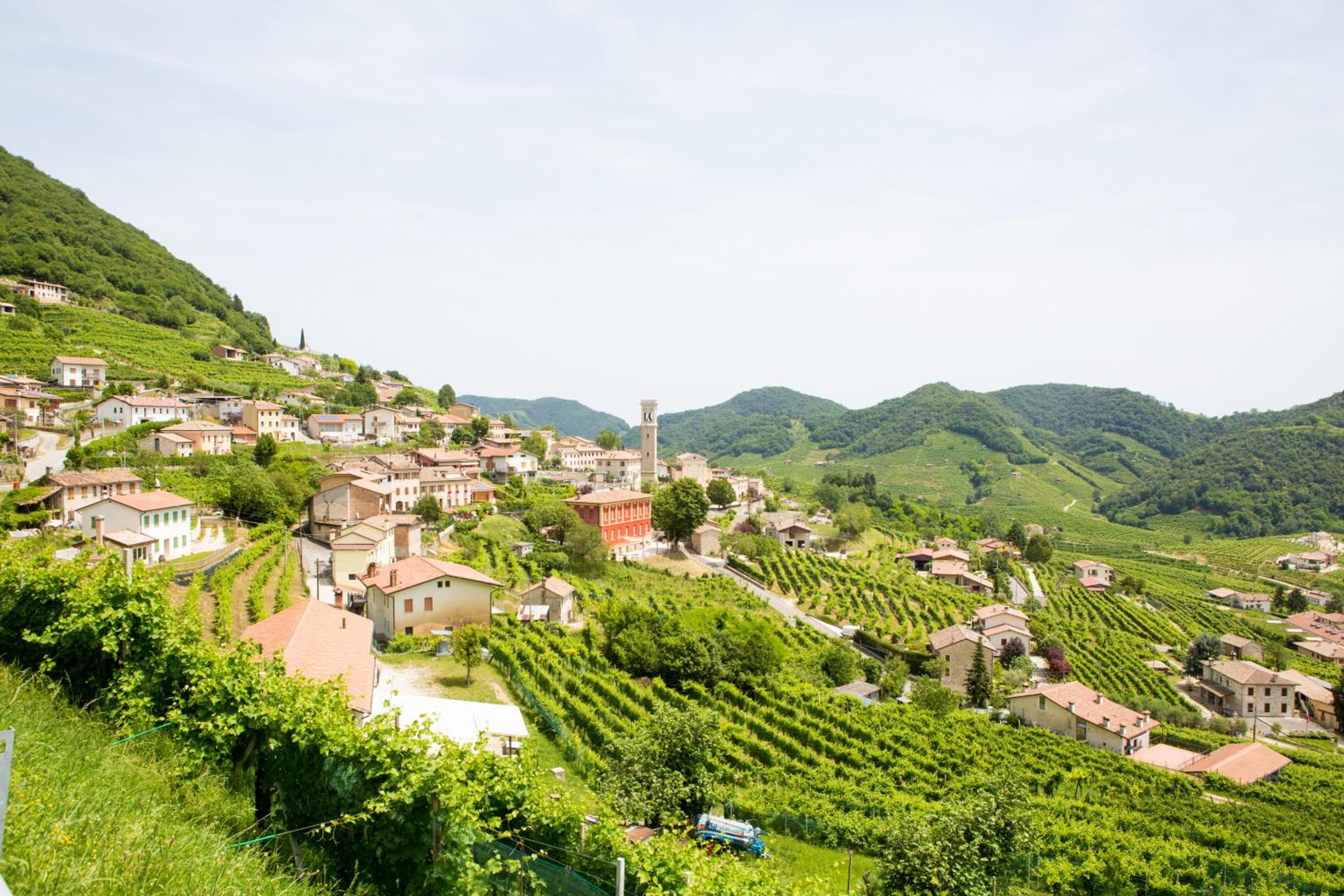 Agriturismo Il Follo