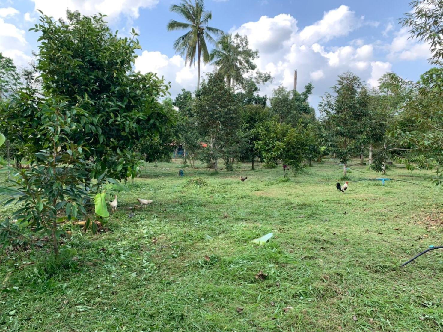 Taluangjit Resort&Garden view 3