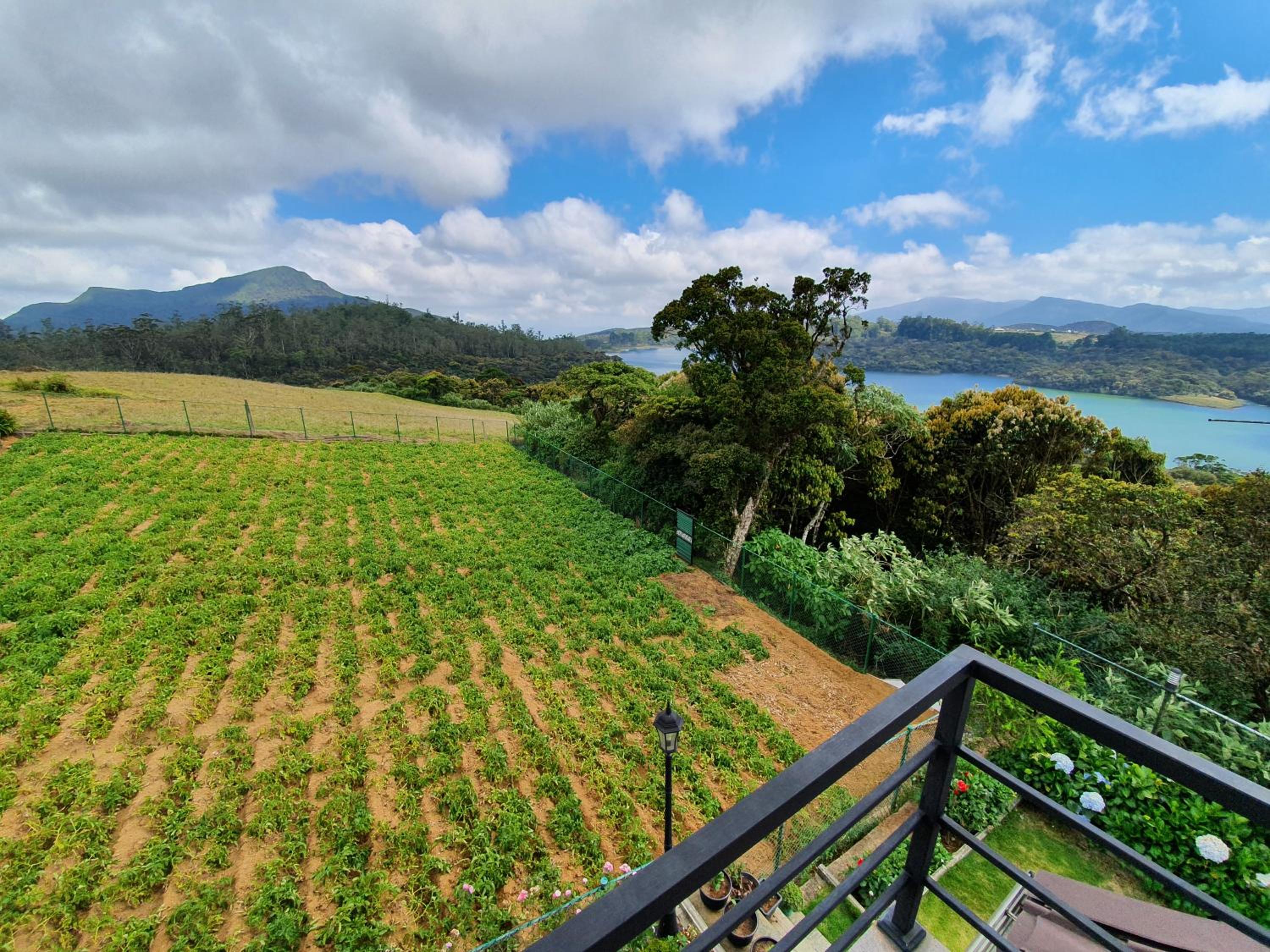 Tranquil Villa - Stunning views with free breakfast view 3