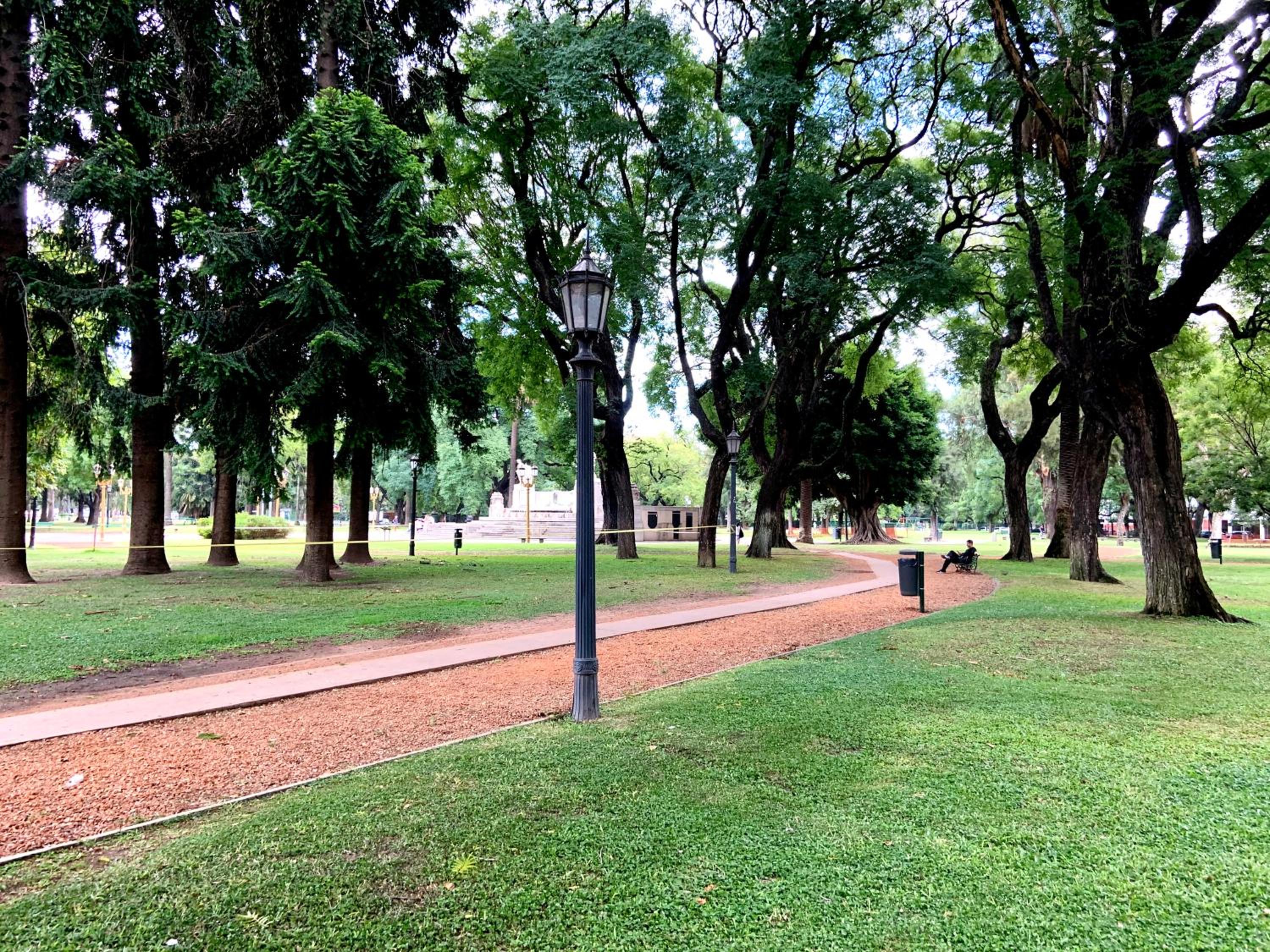 DEPARTAMENTO COCA