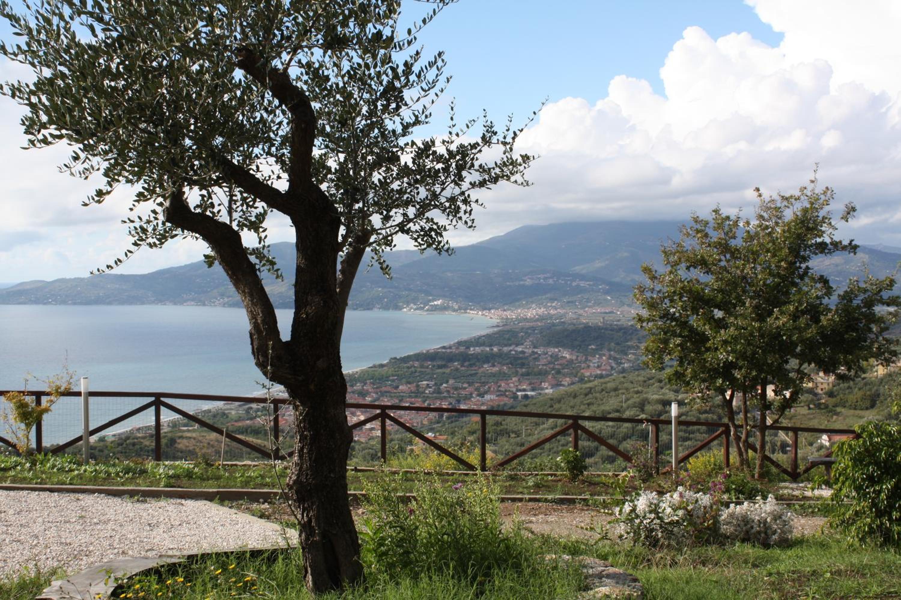 Villa Serra d'Elci