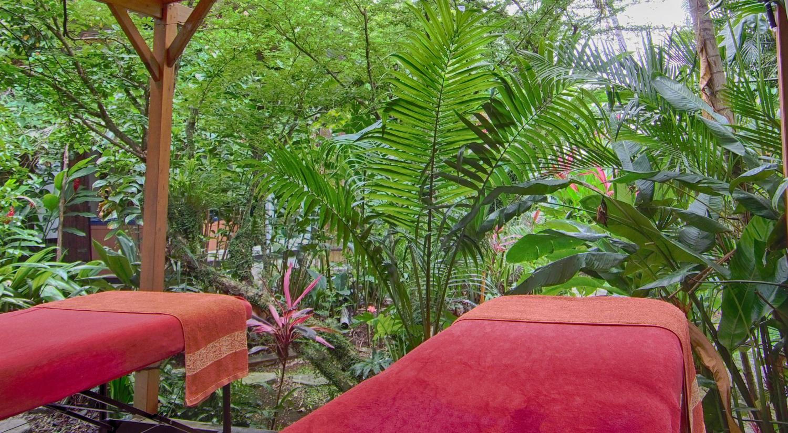 Le Parc aux Orchidées view 2