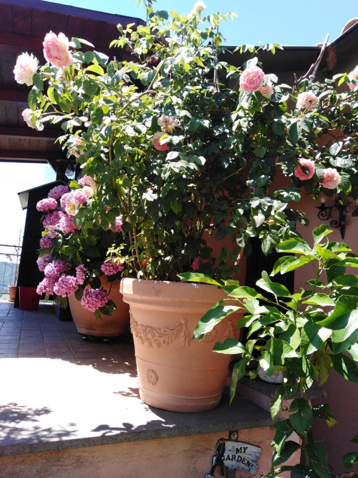 La Fenice, photo 66