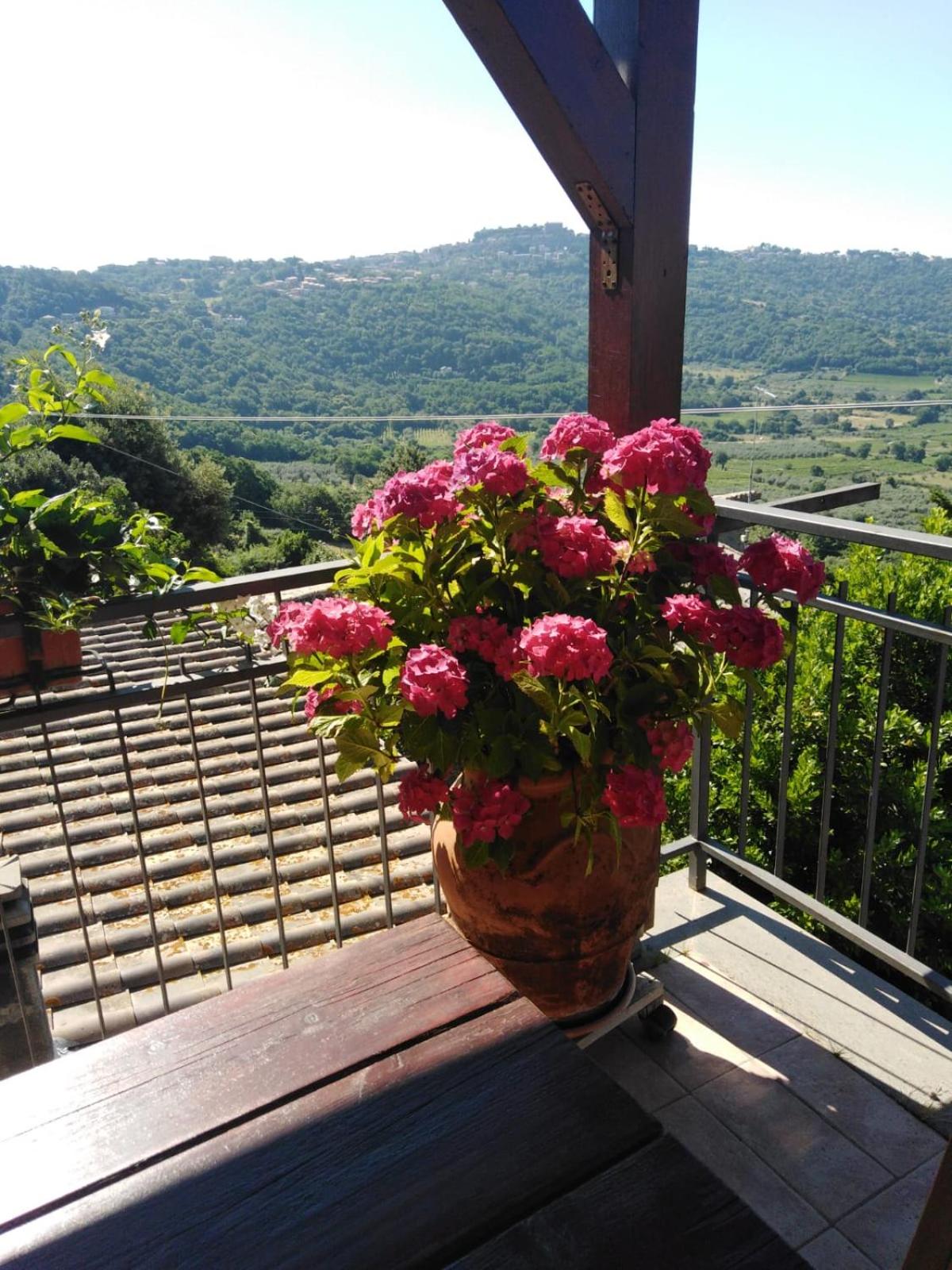 La Fenice en Montefiascone