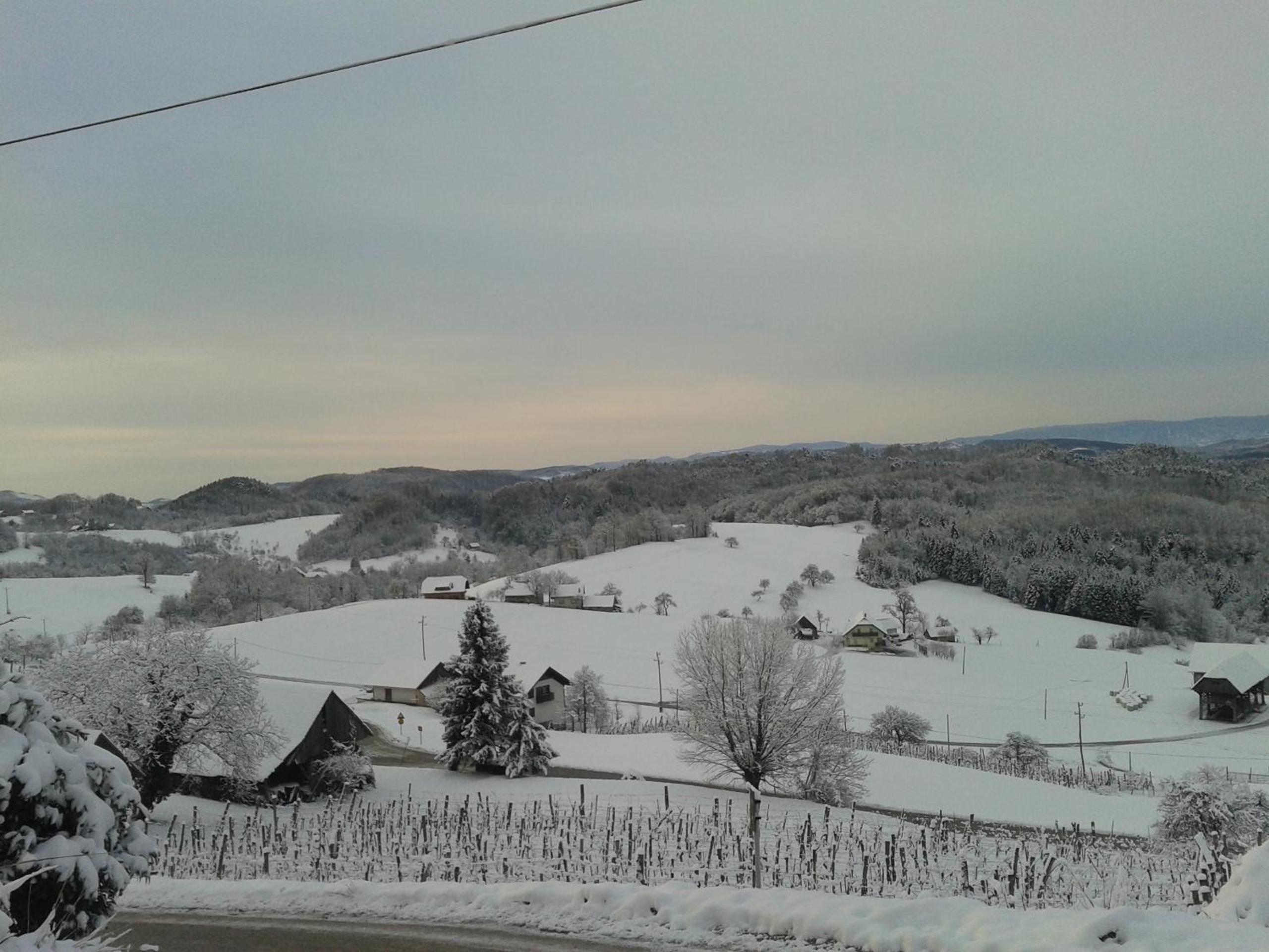 Photo 44