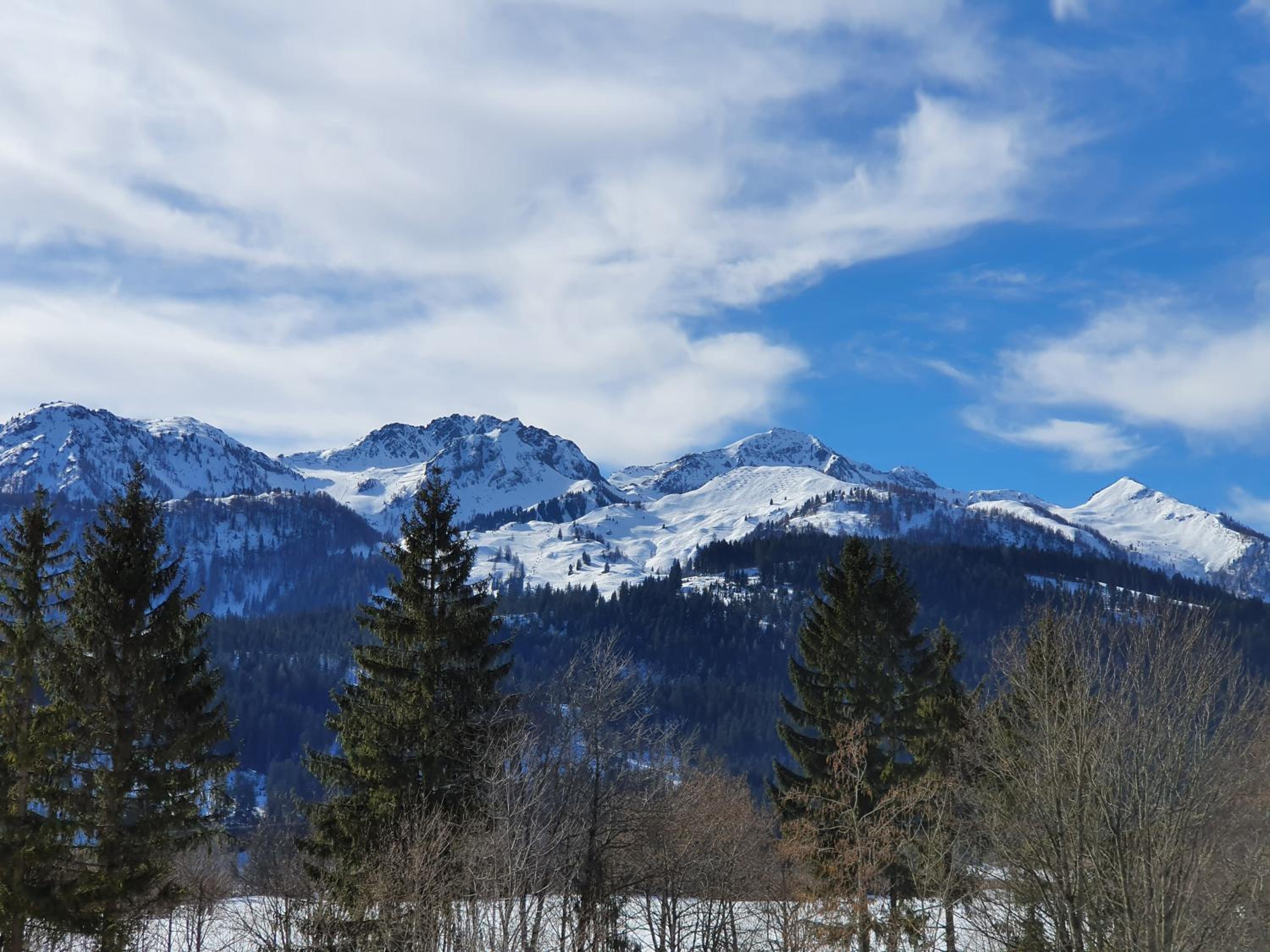 Ferienwohnung App. MOUNTAIN VIEW