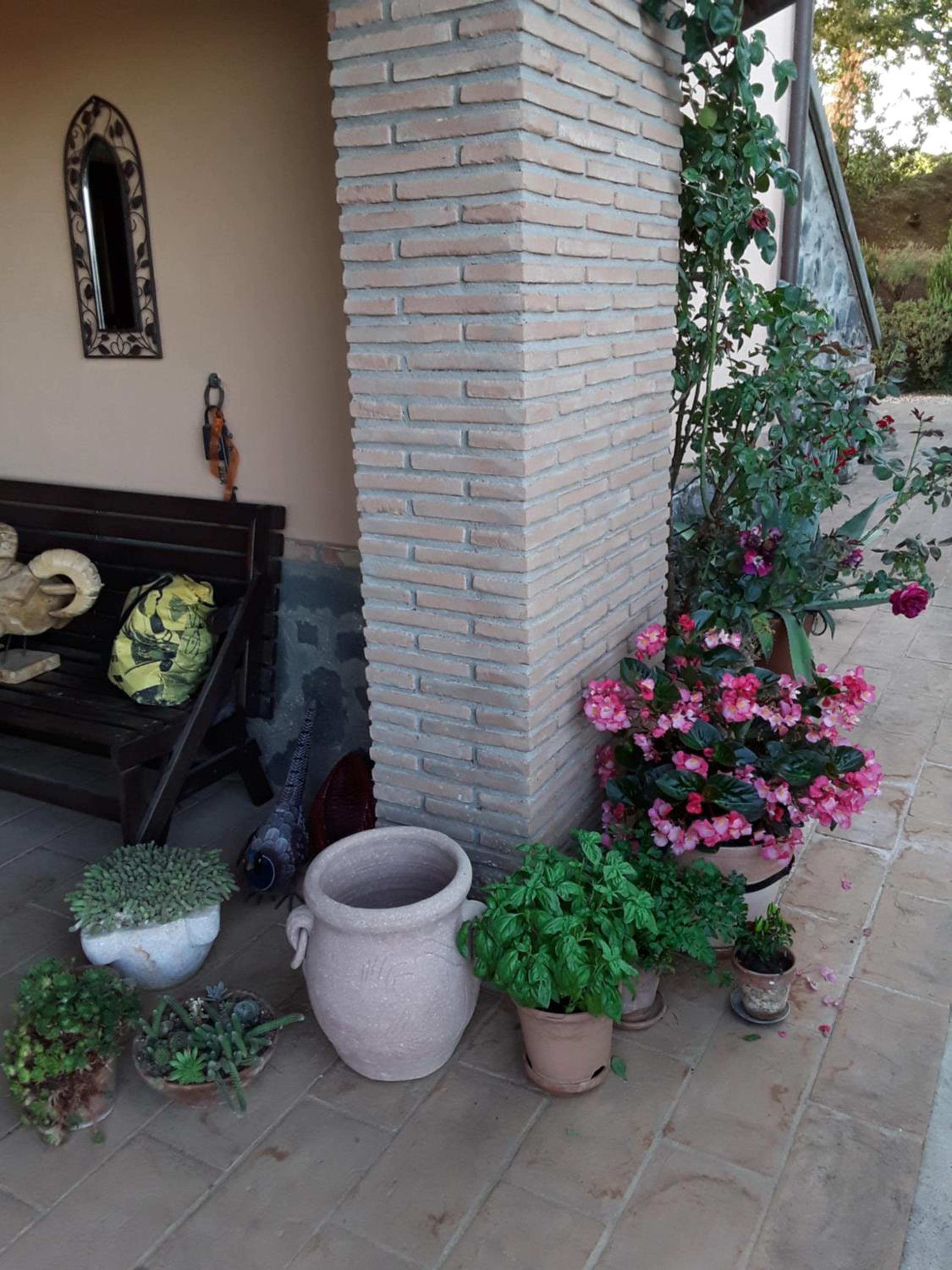 Photo 43