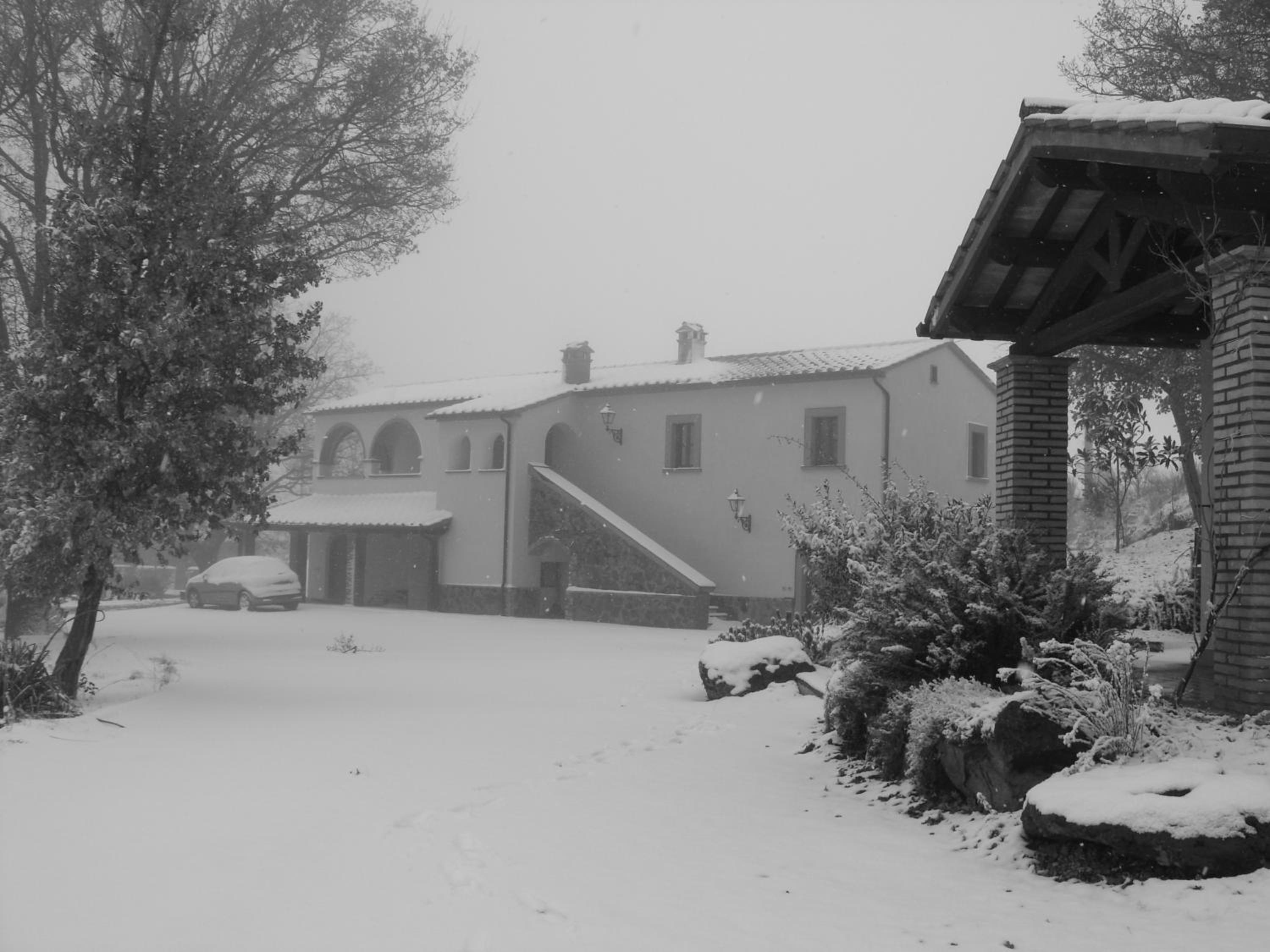 Photo 48