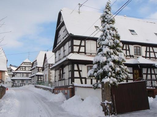 Quartier vert
