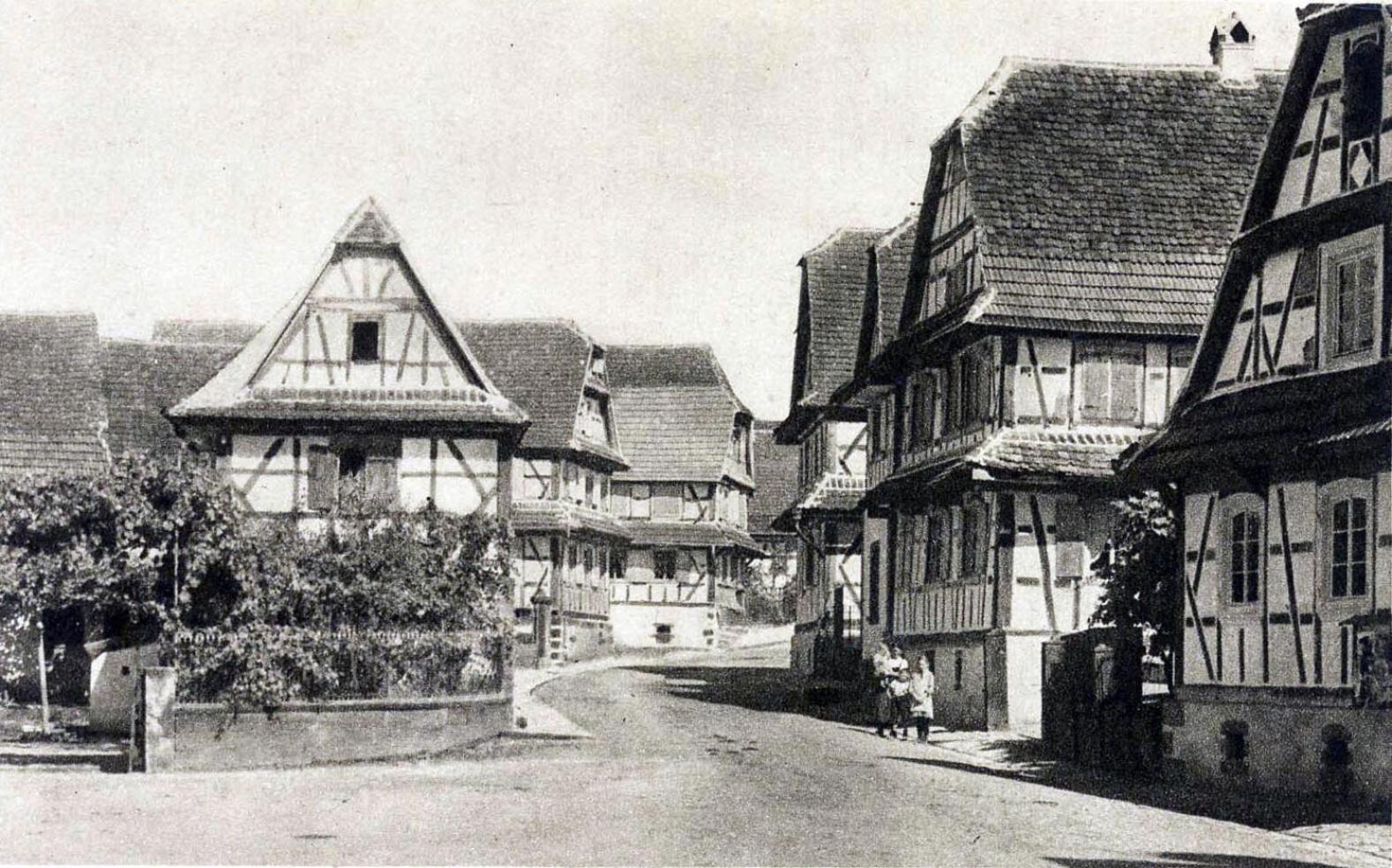 Quartier vert