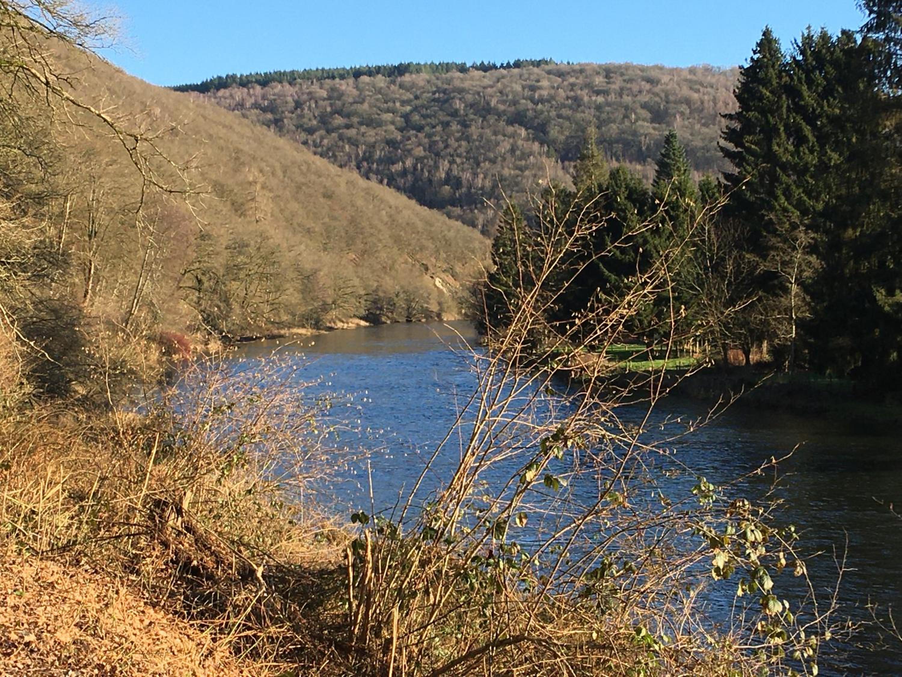 Gîte la Passerelle à Mouzaive