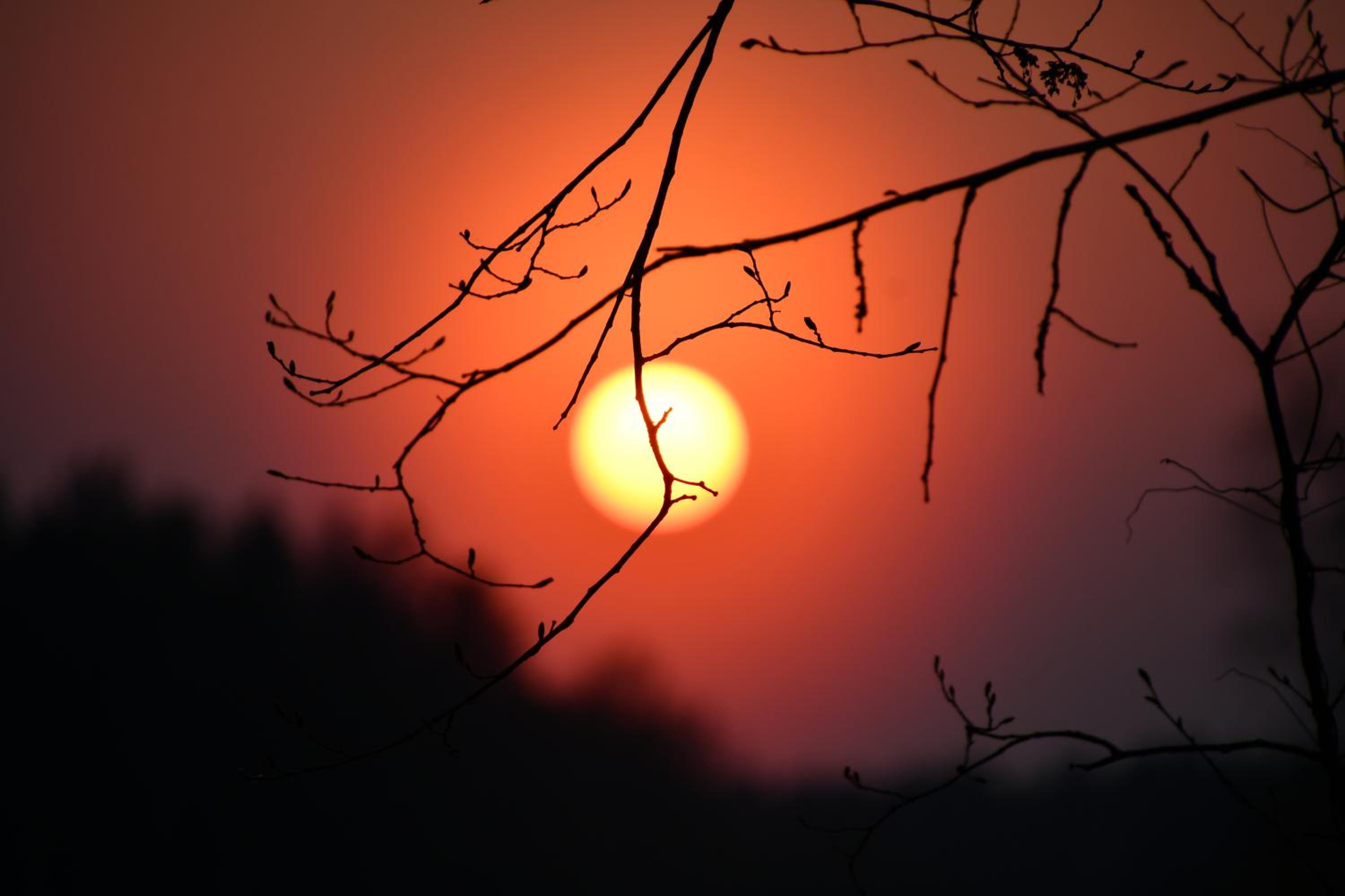 Photo 94