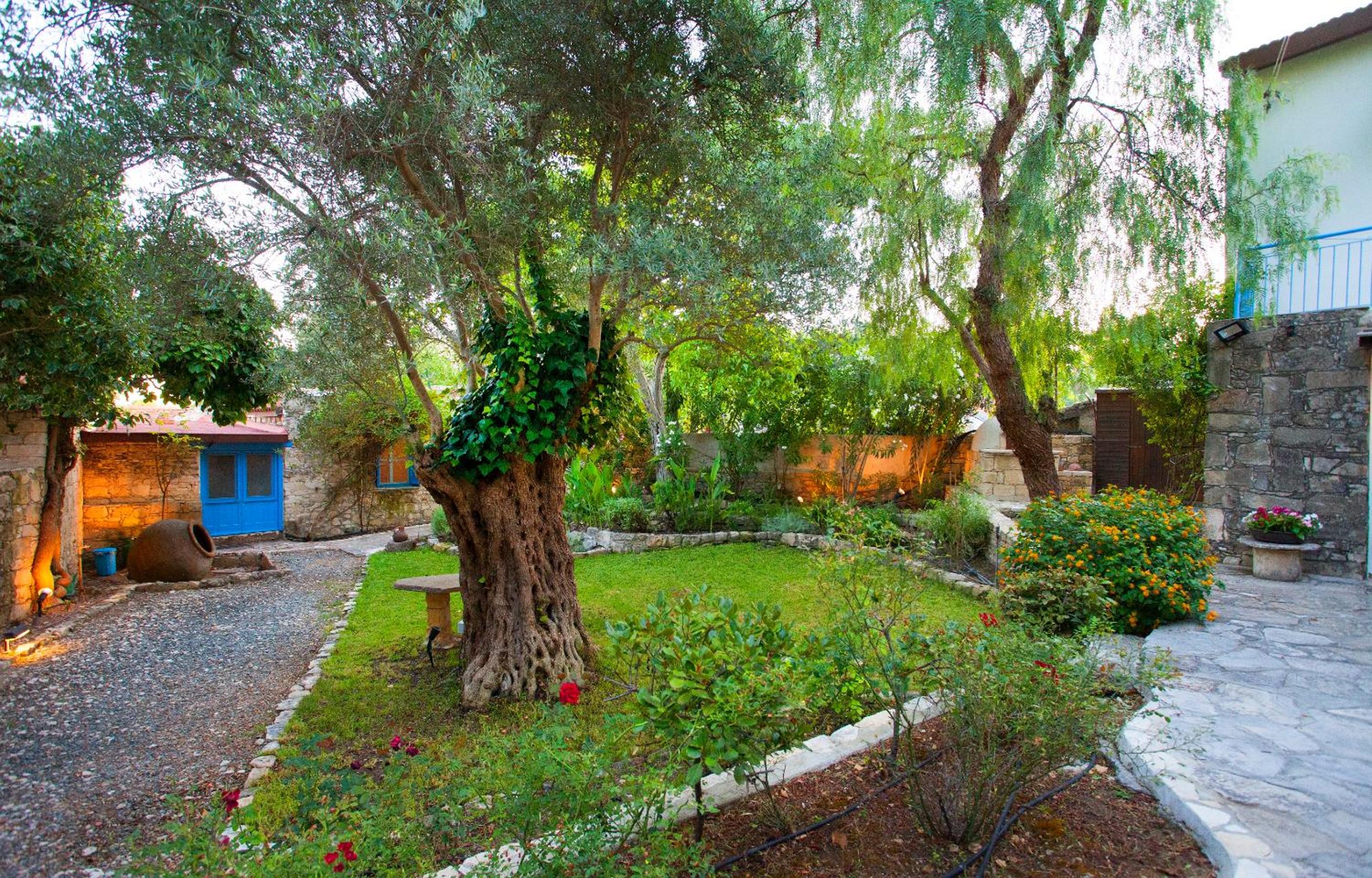 Cecilias Courtyard