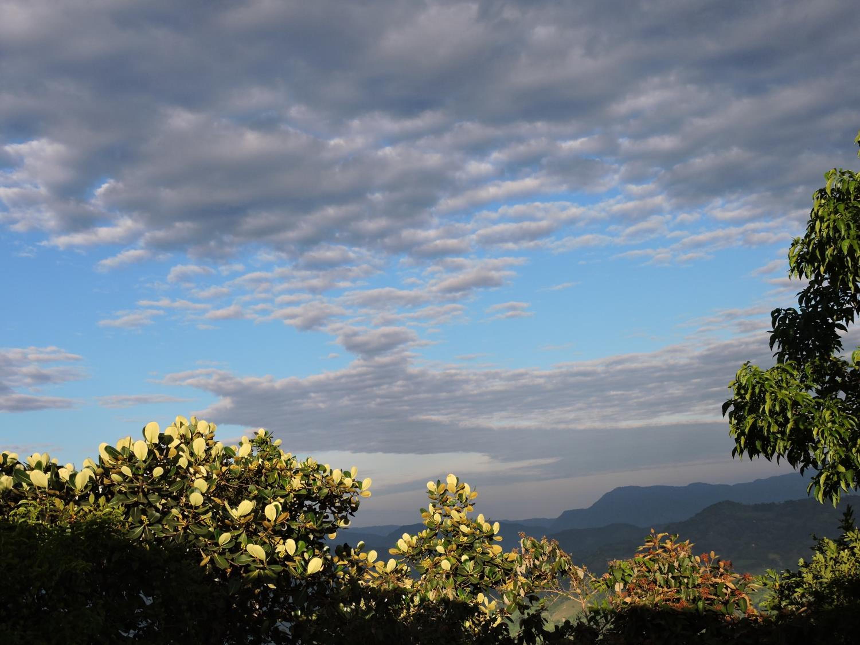 Eco-Cabanas Altozano Nimaima - Property Image 86