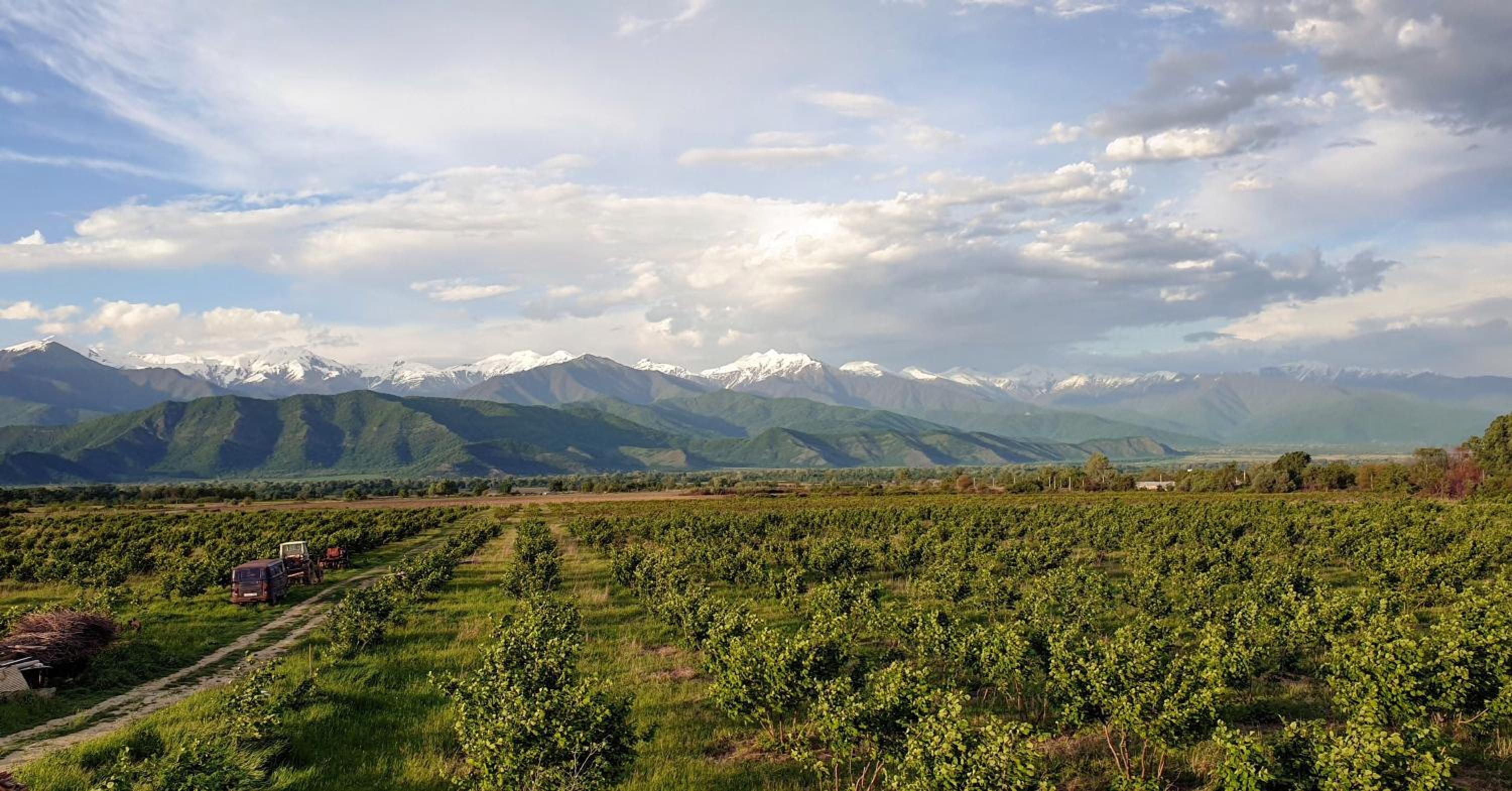 Mestvireni view 4