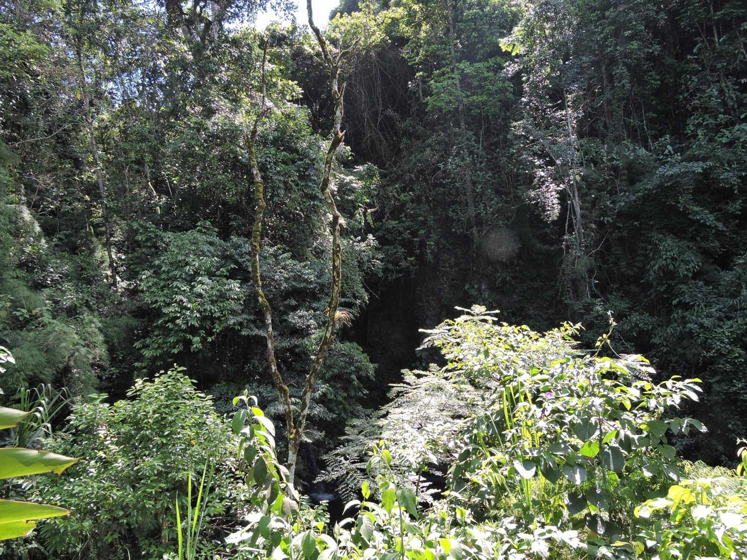 Eco-Cabanas Altozano Nimaima - Property Image 84