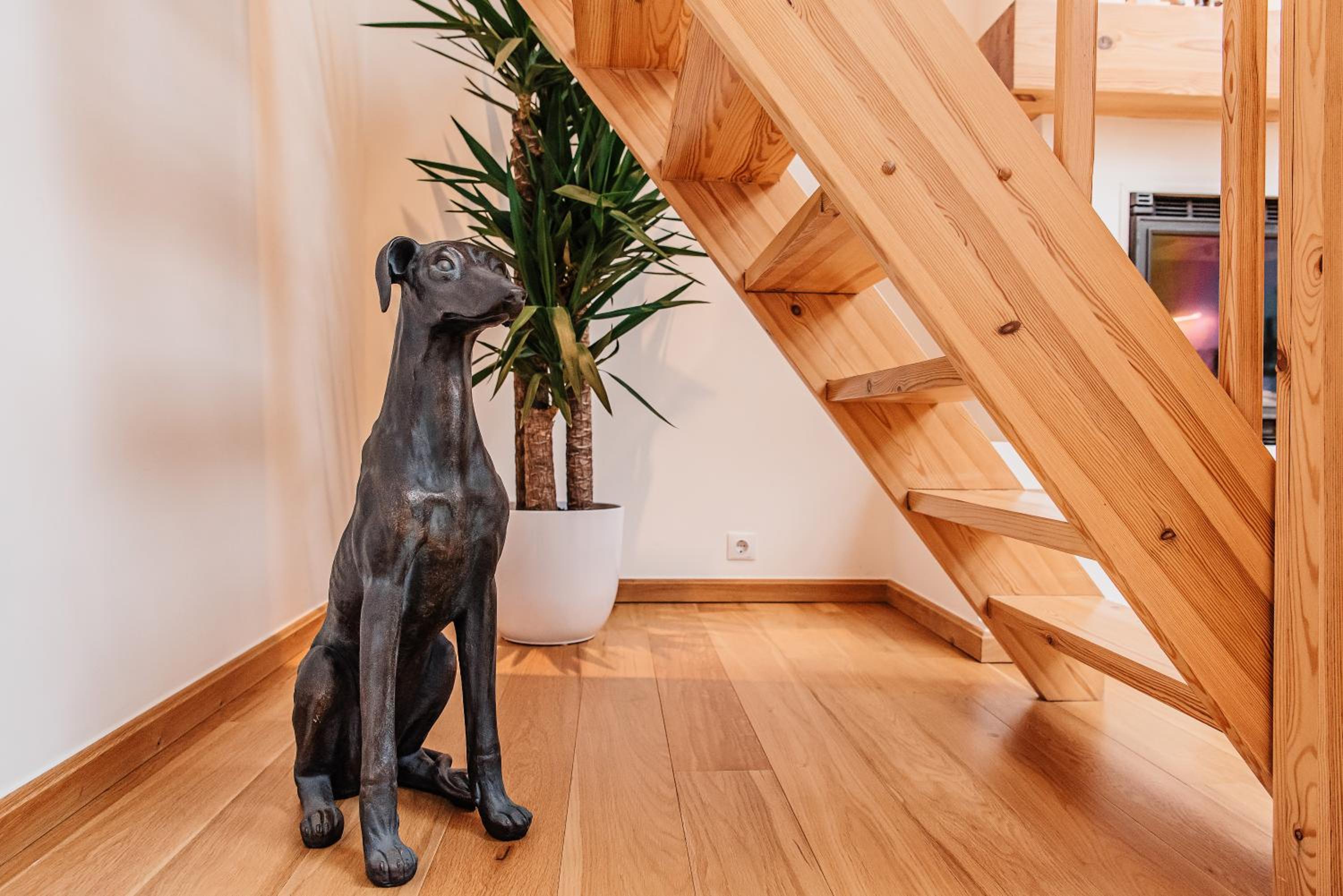 Hotel AirHome - Palm Tree Penthouse - Image 1