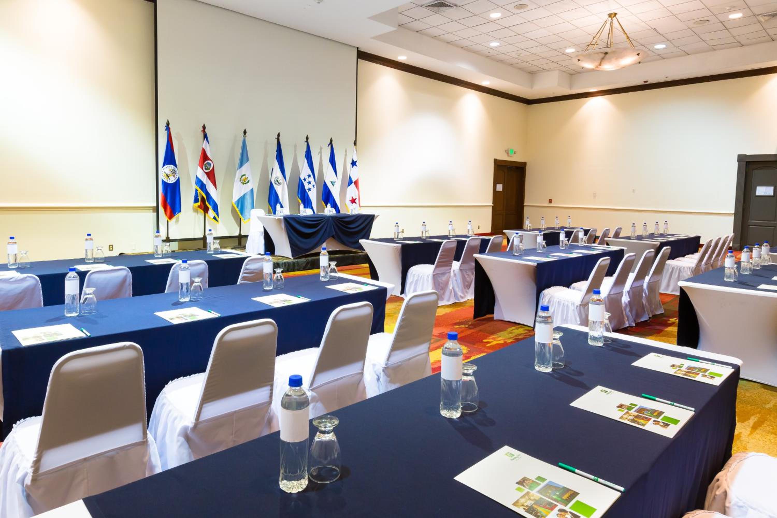 San Salvador Vacations - Holiday Inn San Salvador, an IHG Hotel - Property Image 42