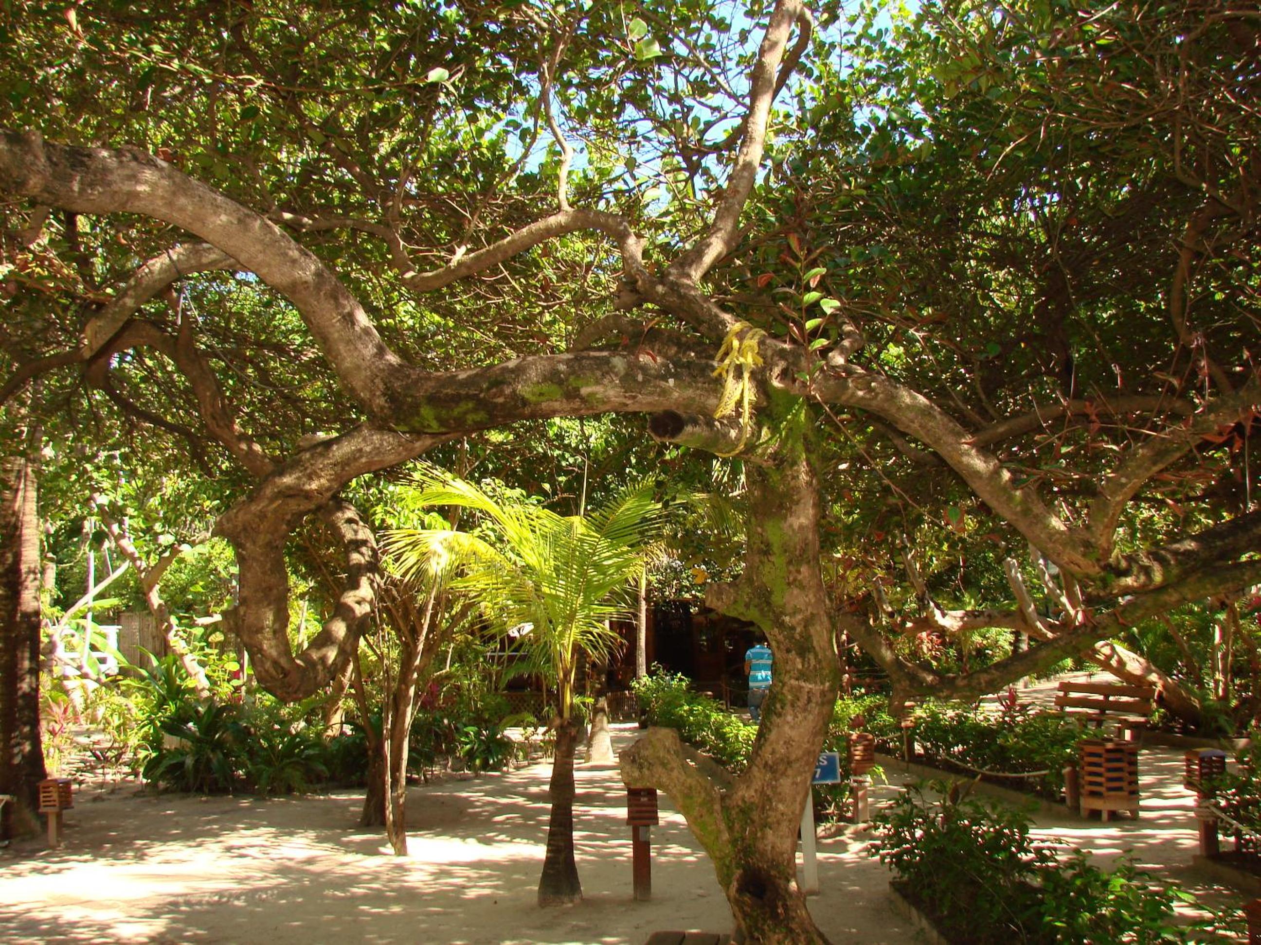 Paradise Beach Resort & Dive Center - Photo 36