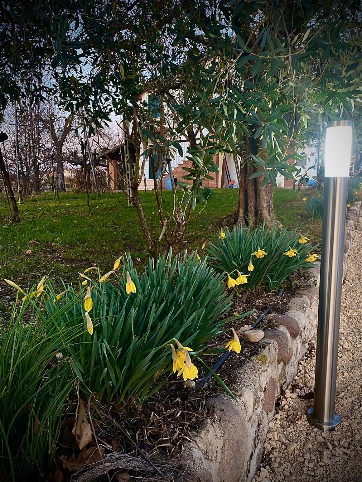 Tenuta EnGi, photo 32