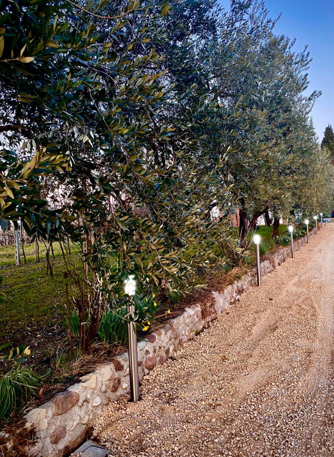 Tenuta EnGi, photo 98