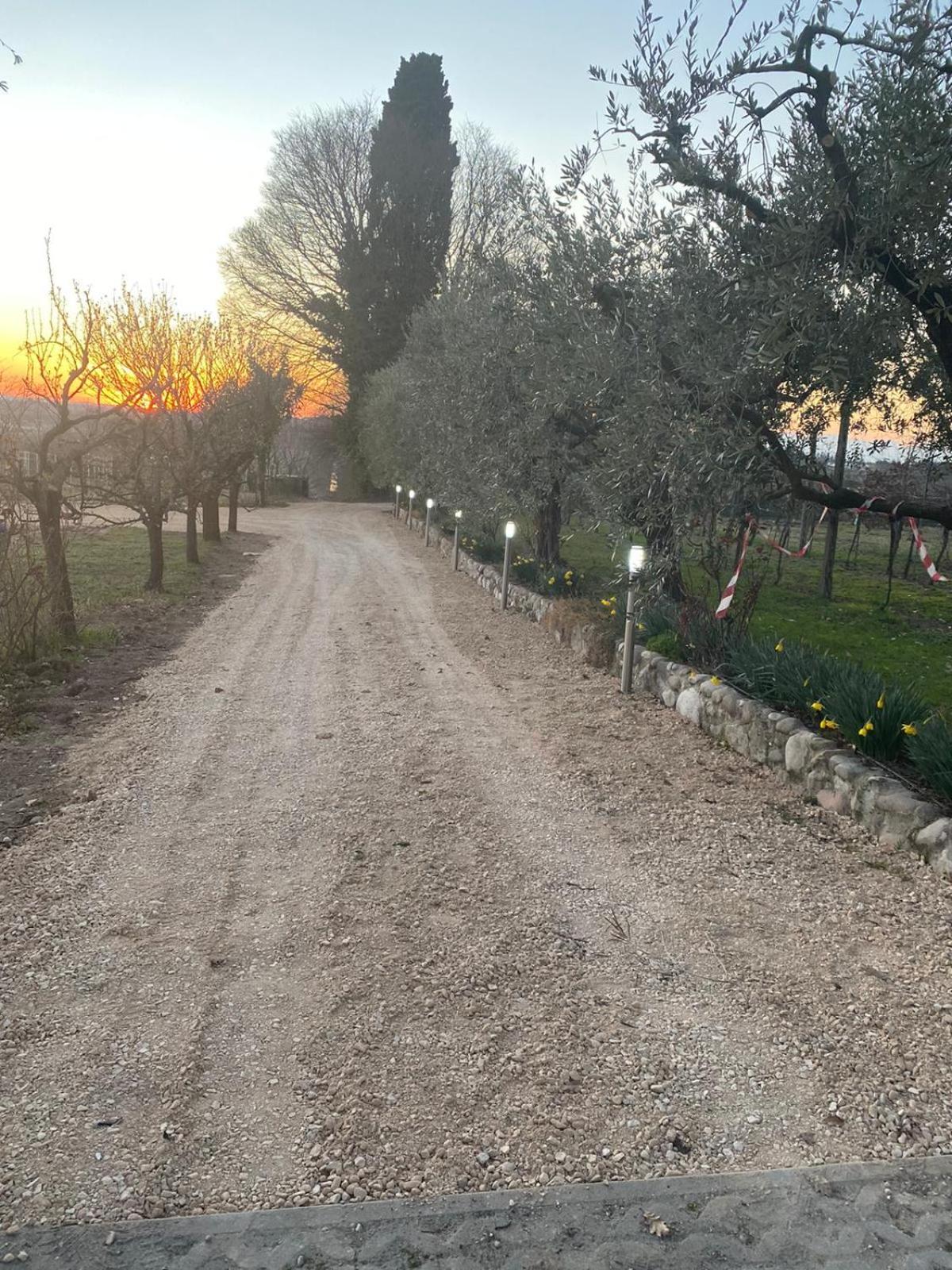 Tenuta EnGi, photo 25