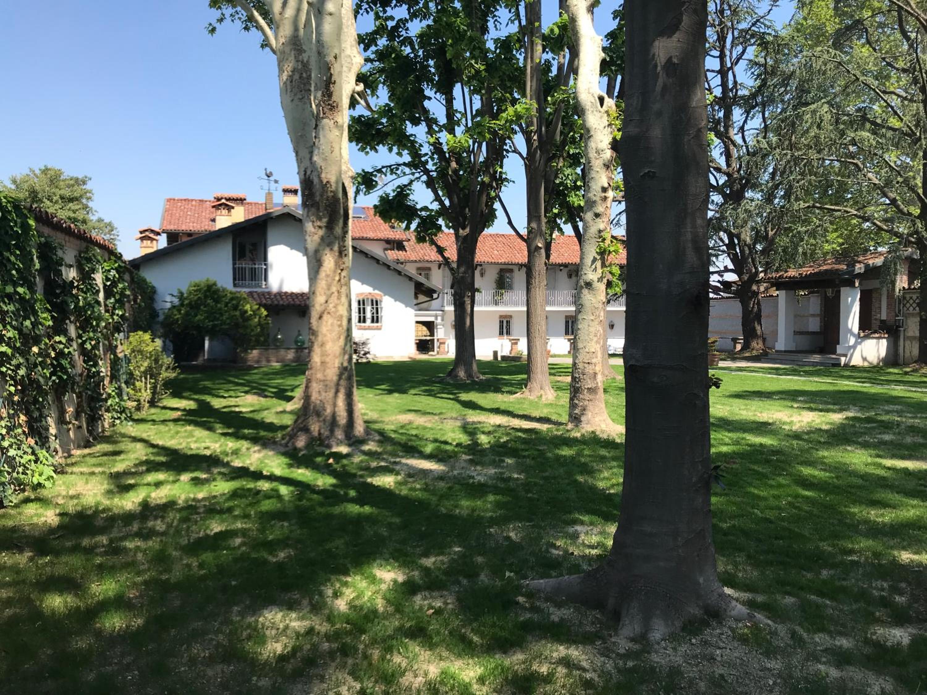 Photo 41