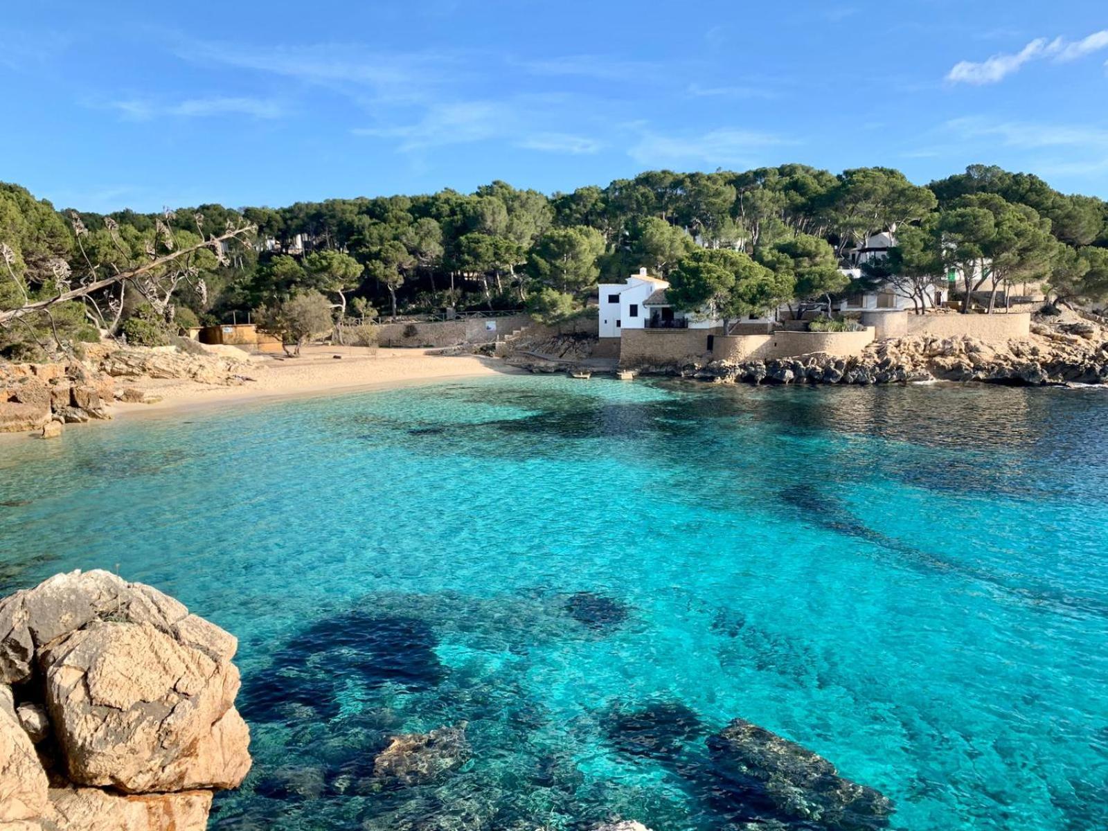 Cala Ratjada Vacations - Sonne  Meerblick aus 40 Grad heiem Whirlpool genieen - Zentral am Hafen und dennoch ruhig - Property Image 5
