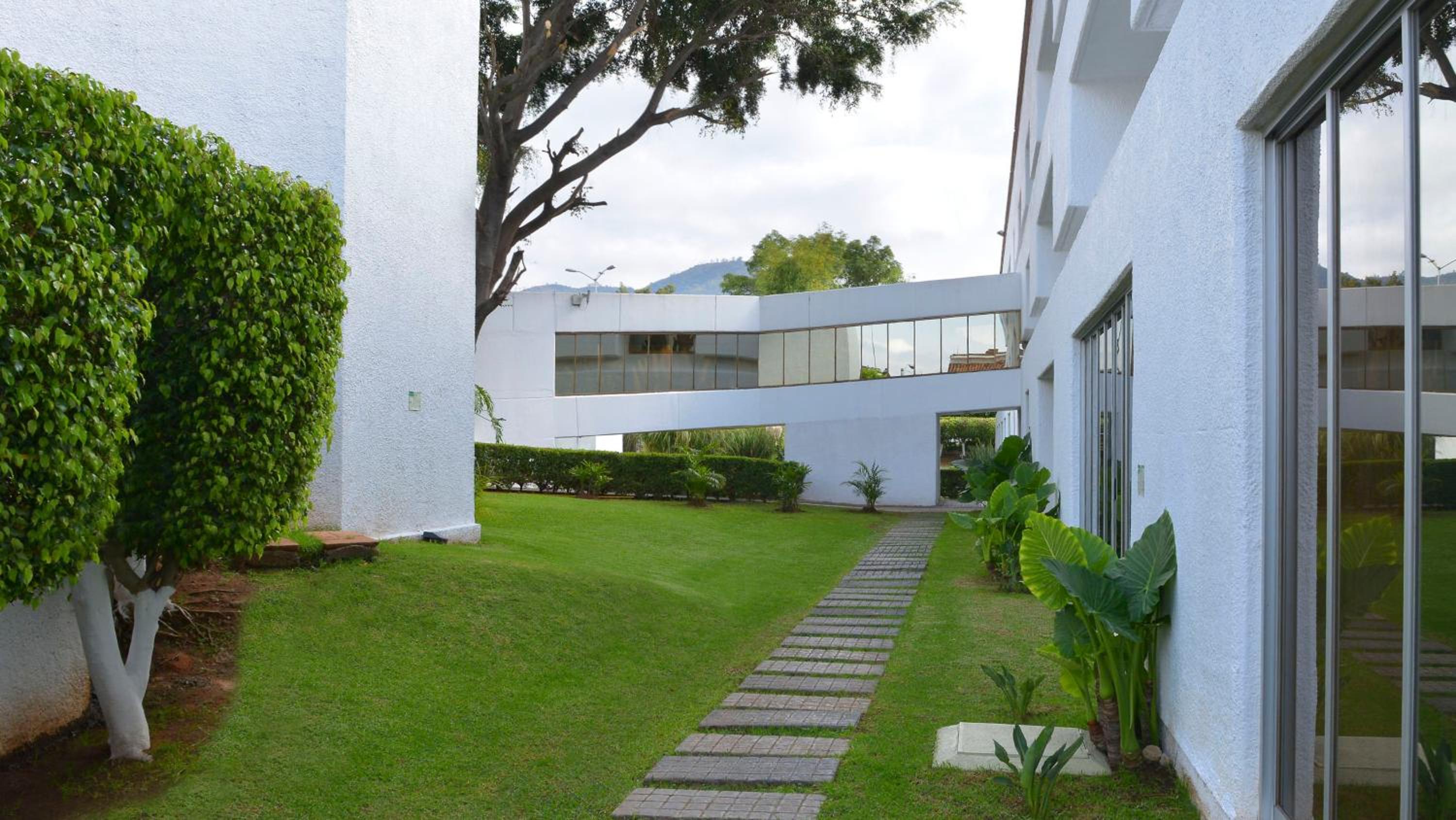 Holiday Inn Morelia, an IHG Hotel - Property Image 39