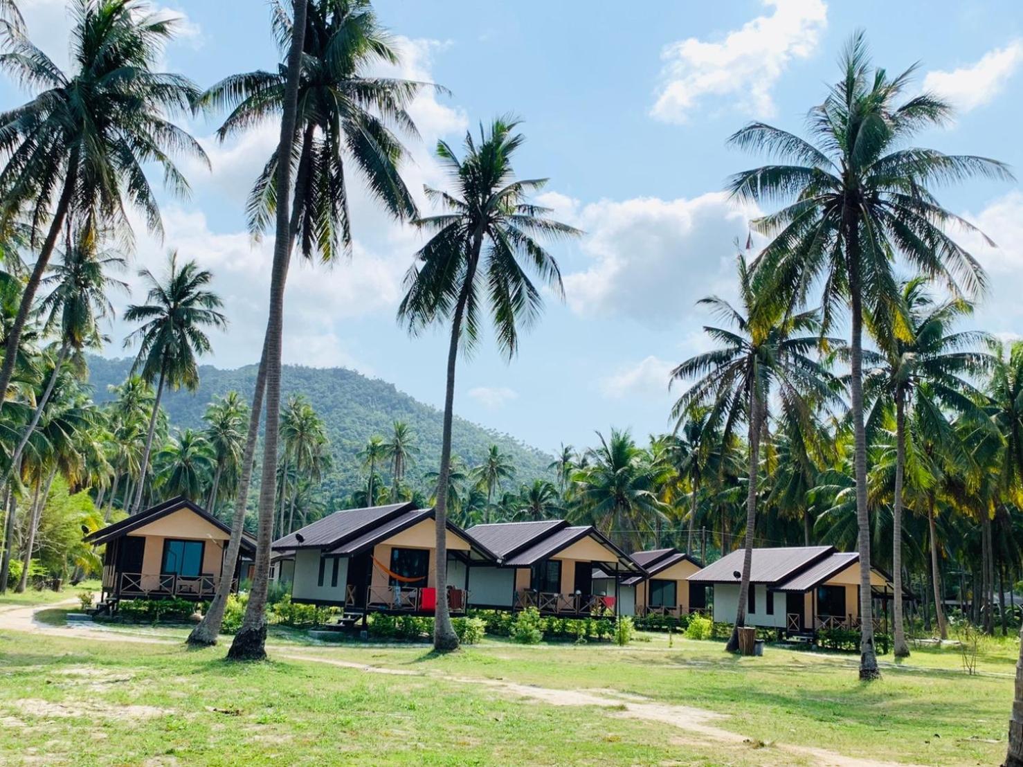 Phangan Chalet Bungalow & House view 3