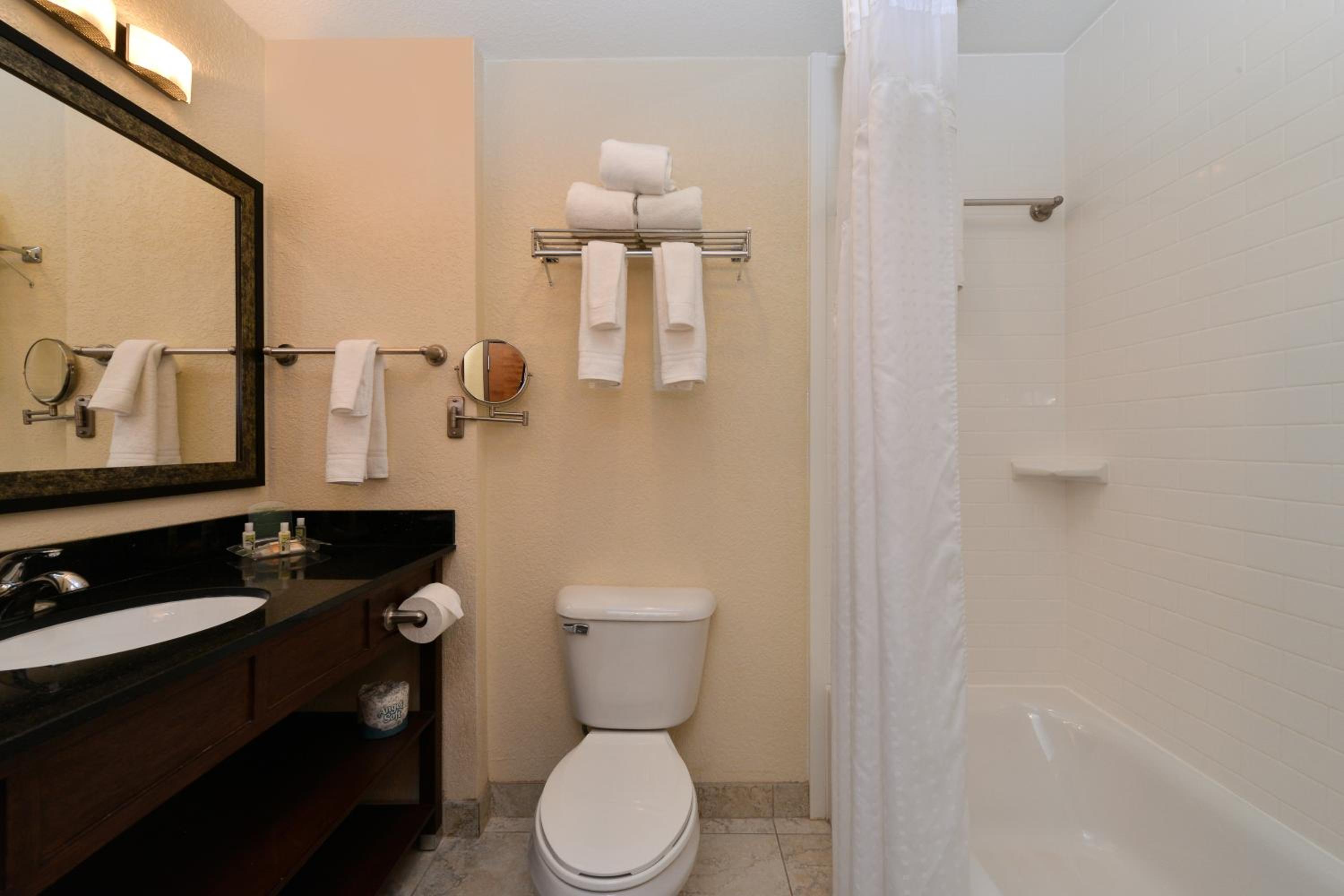 Holiday Inn Montgomery South Airport, an IHG Hotel - Property Image 12