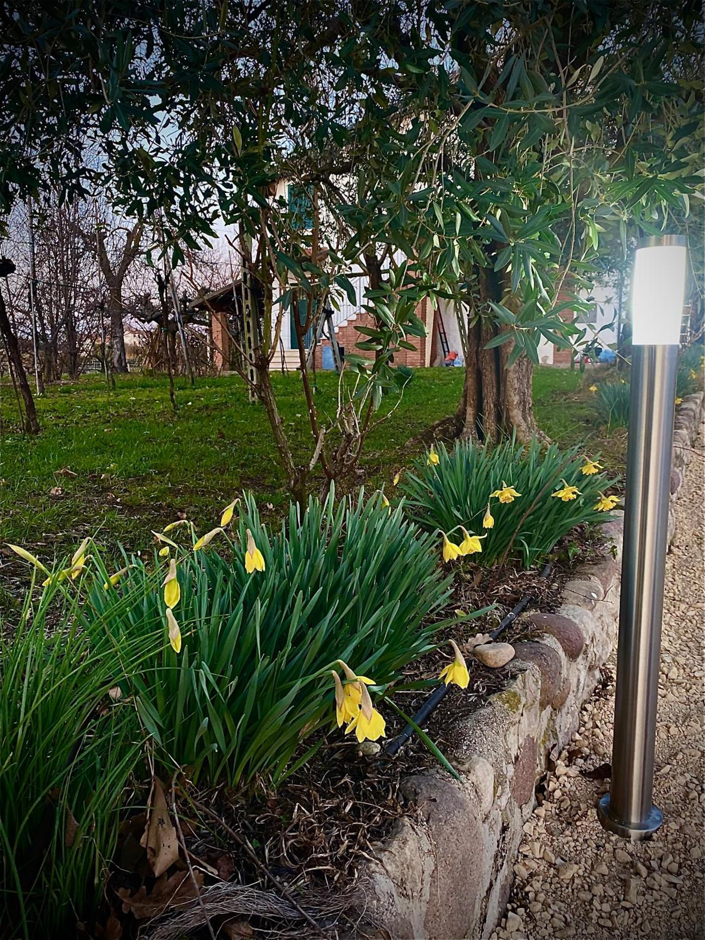 Tenuta EnGi, photo 27