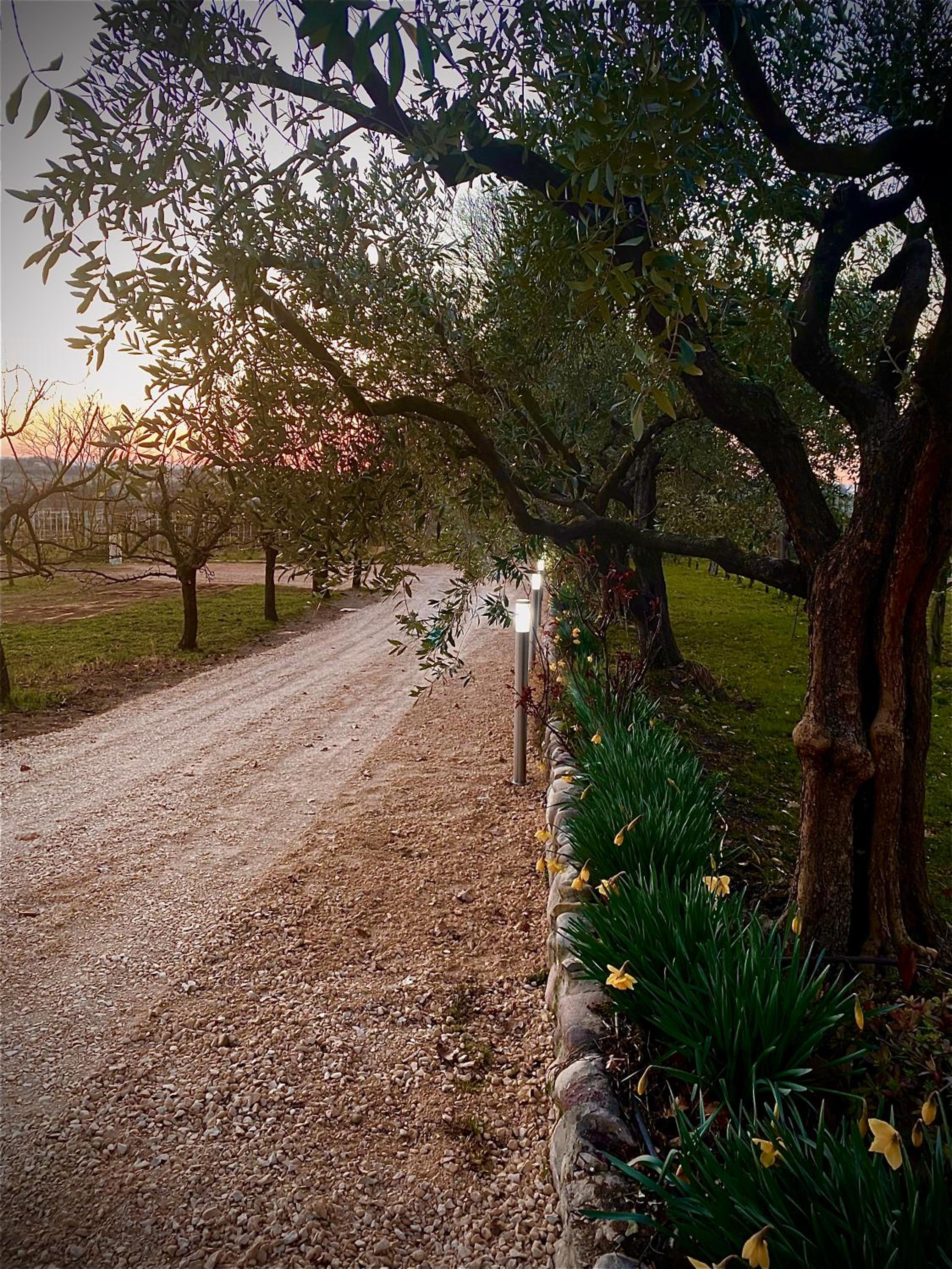 Tenuta EnGi, photo 24