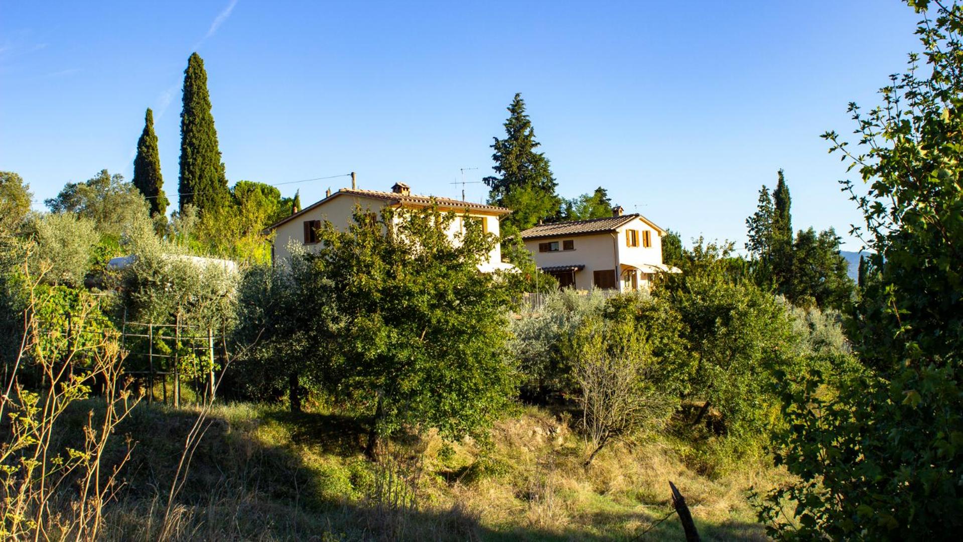 I 3 Cipressi view 3