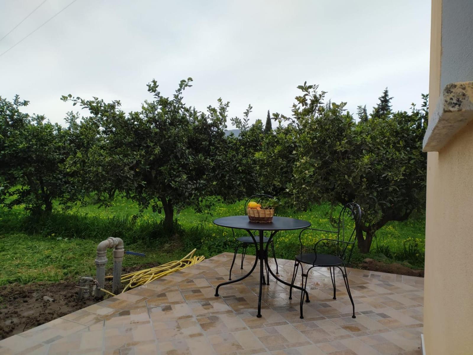 Residenza Maria Antonia - Country House view 4