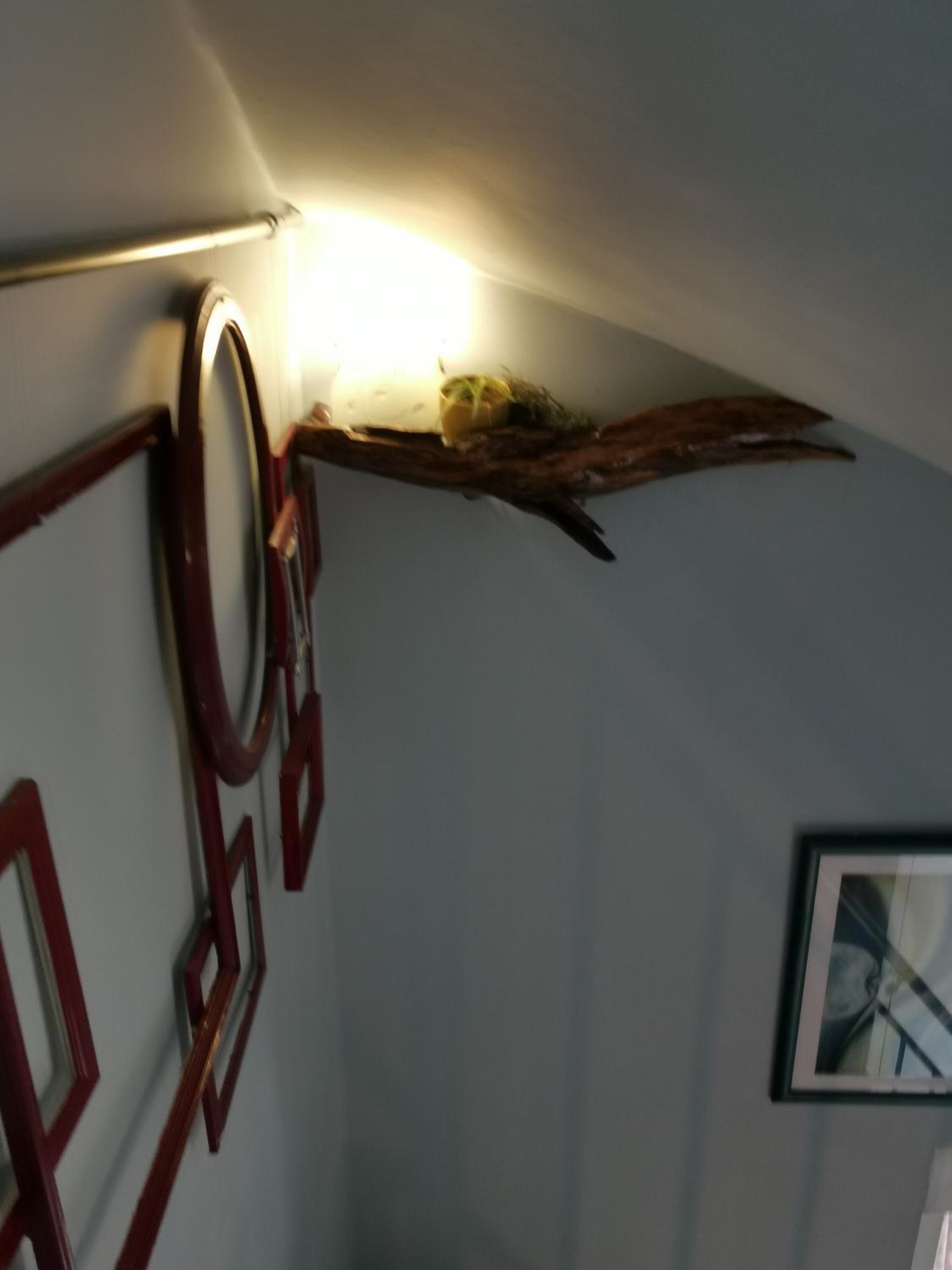 Apartman Fenjer view 3