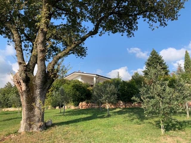 Verona Vacations - BB Romy Rocker - Property Image 8