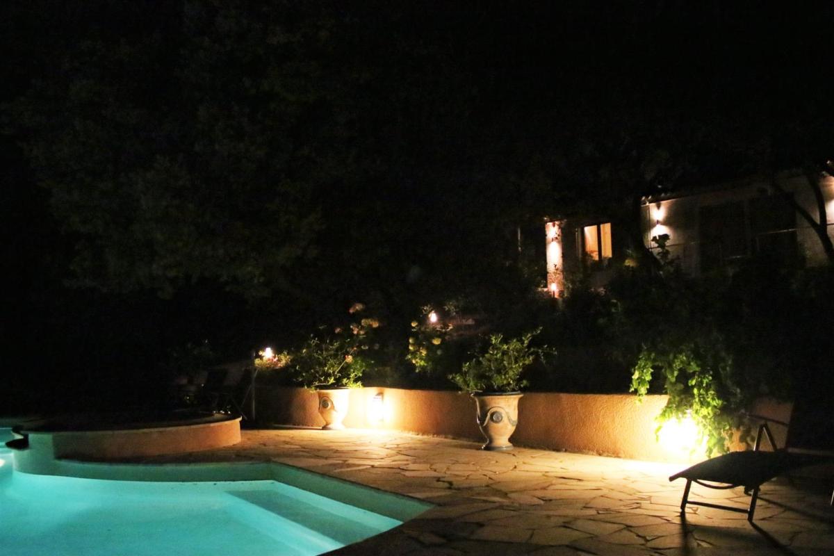 Santolines en Provence photo 3