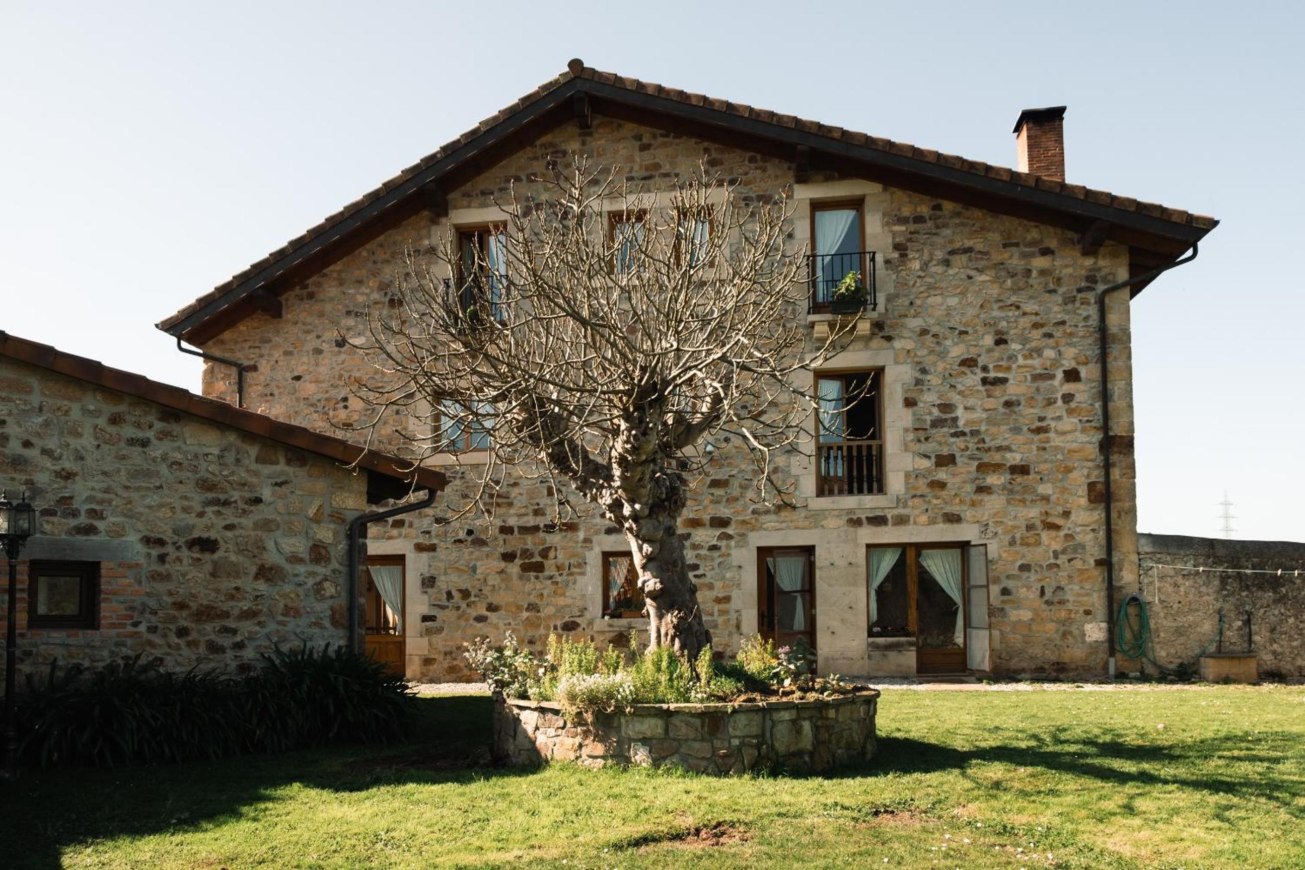 Photo 19