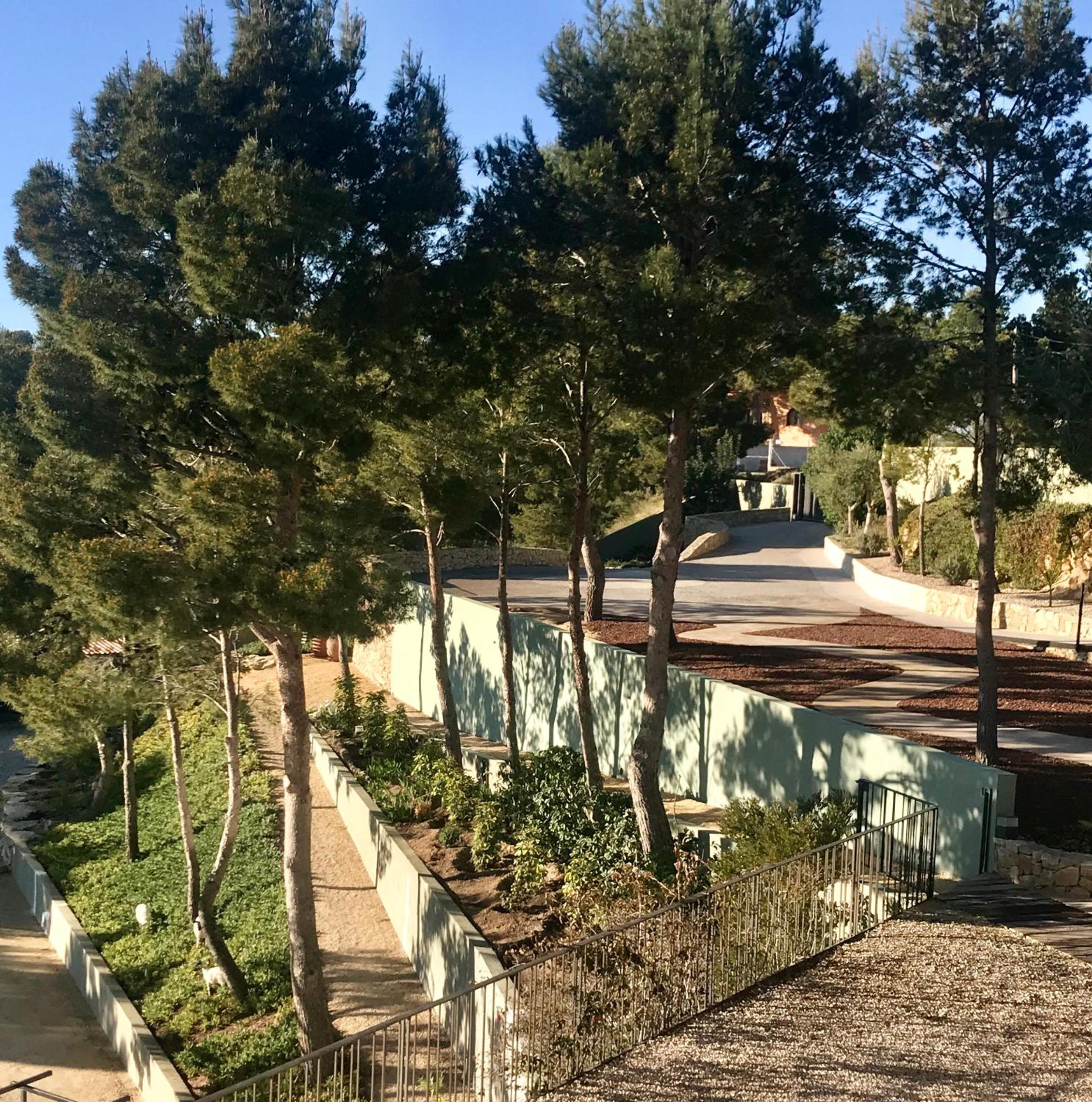 Photo 16