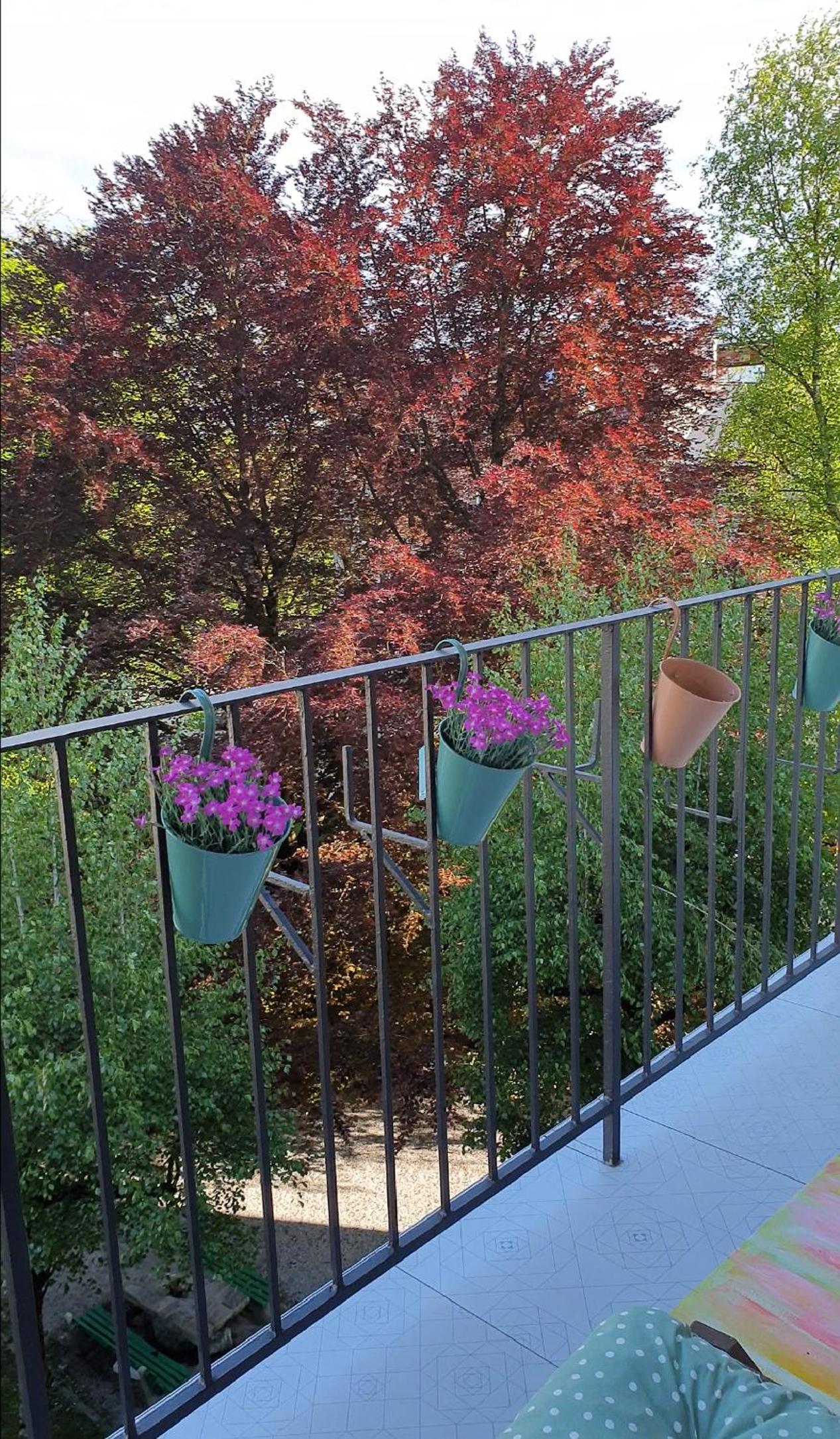 DREAMY & COSY place, Riverside apartment view 5