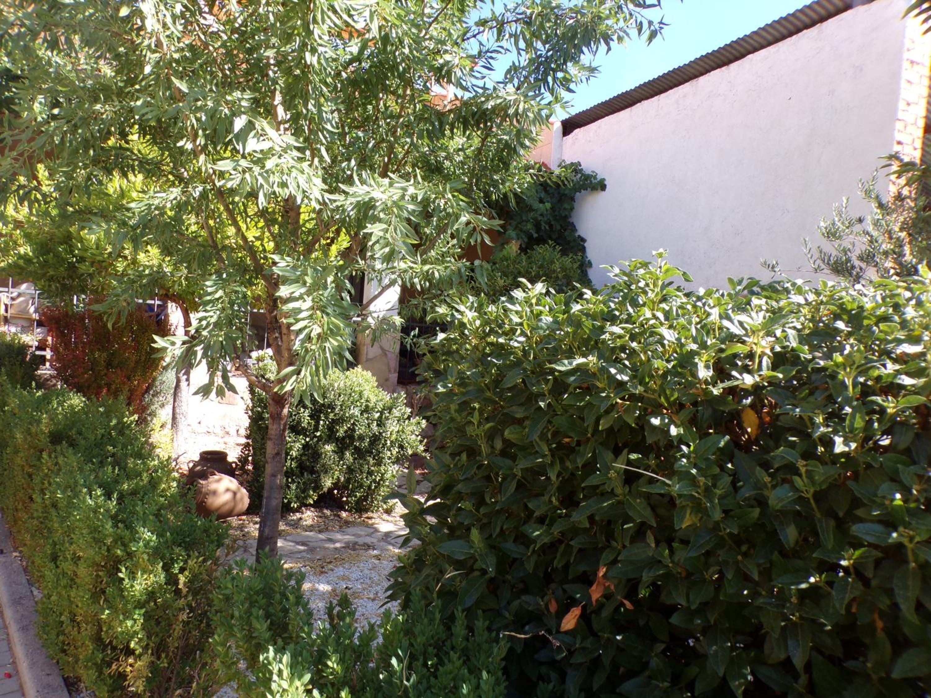 Photo 40