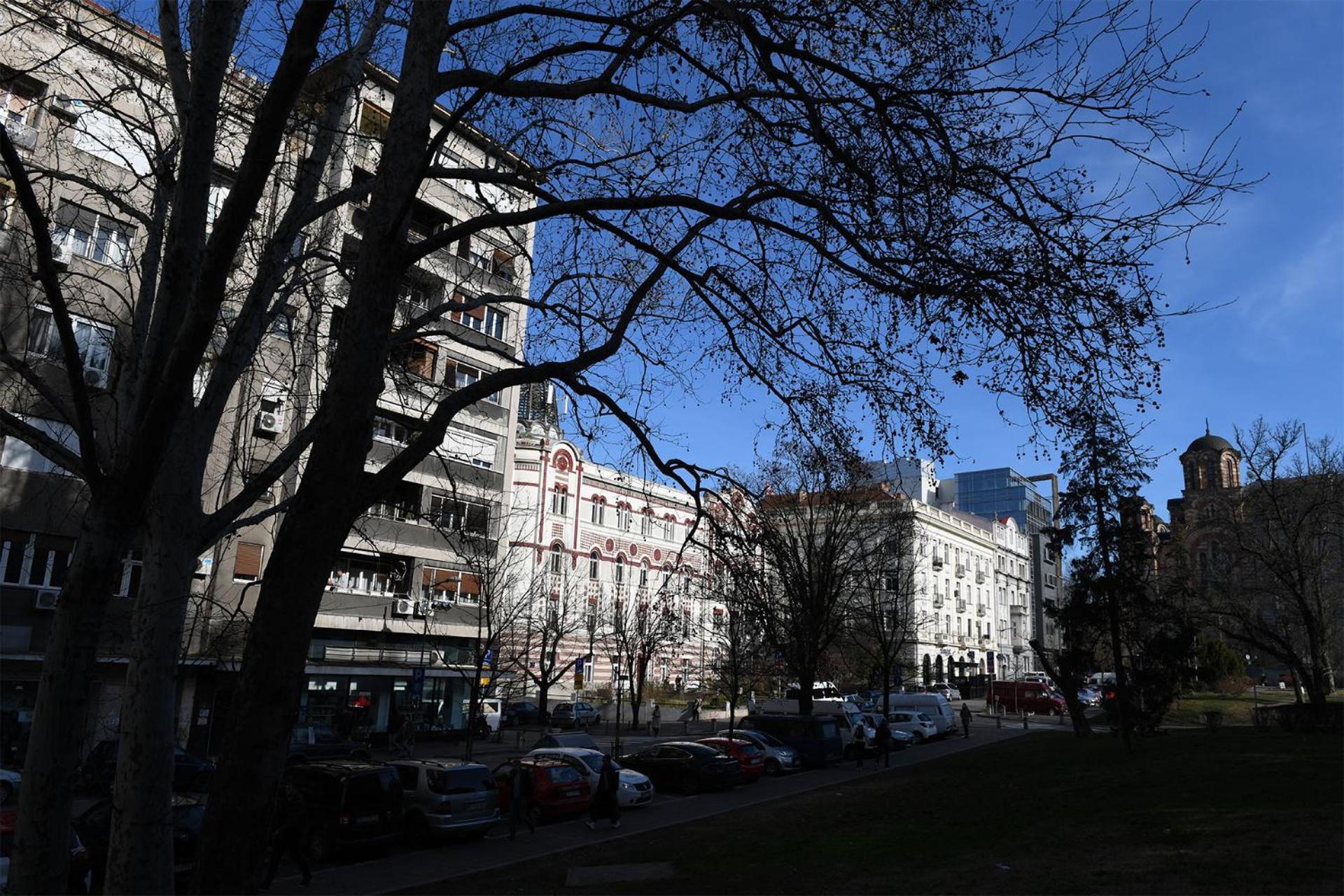 Senat Apartment