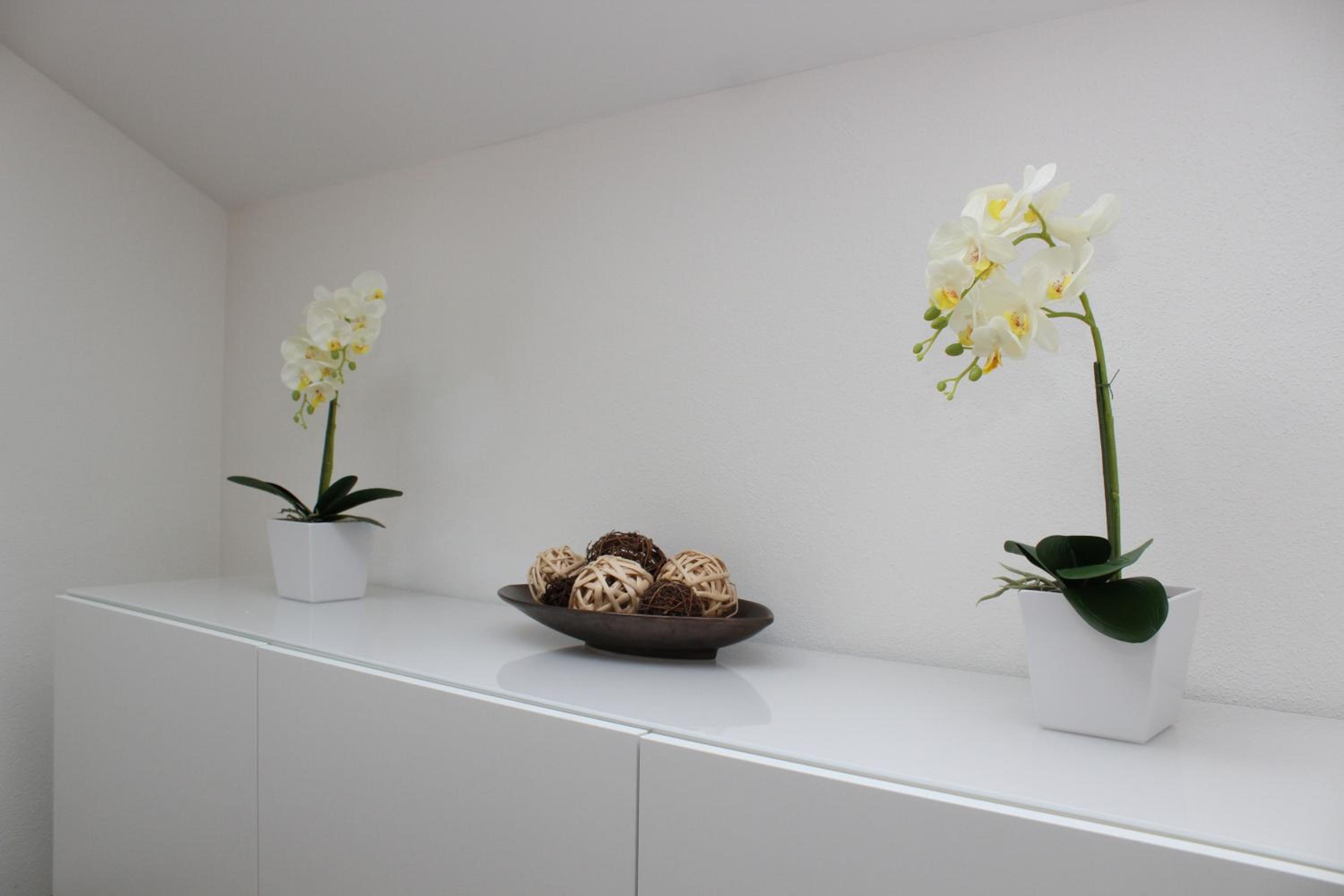 Ferienwohnung Lindpointner