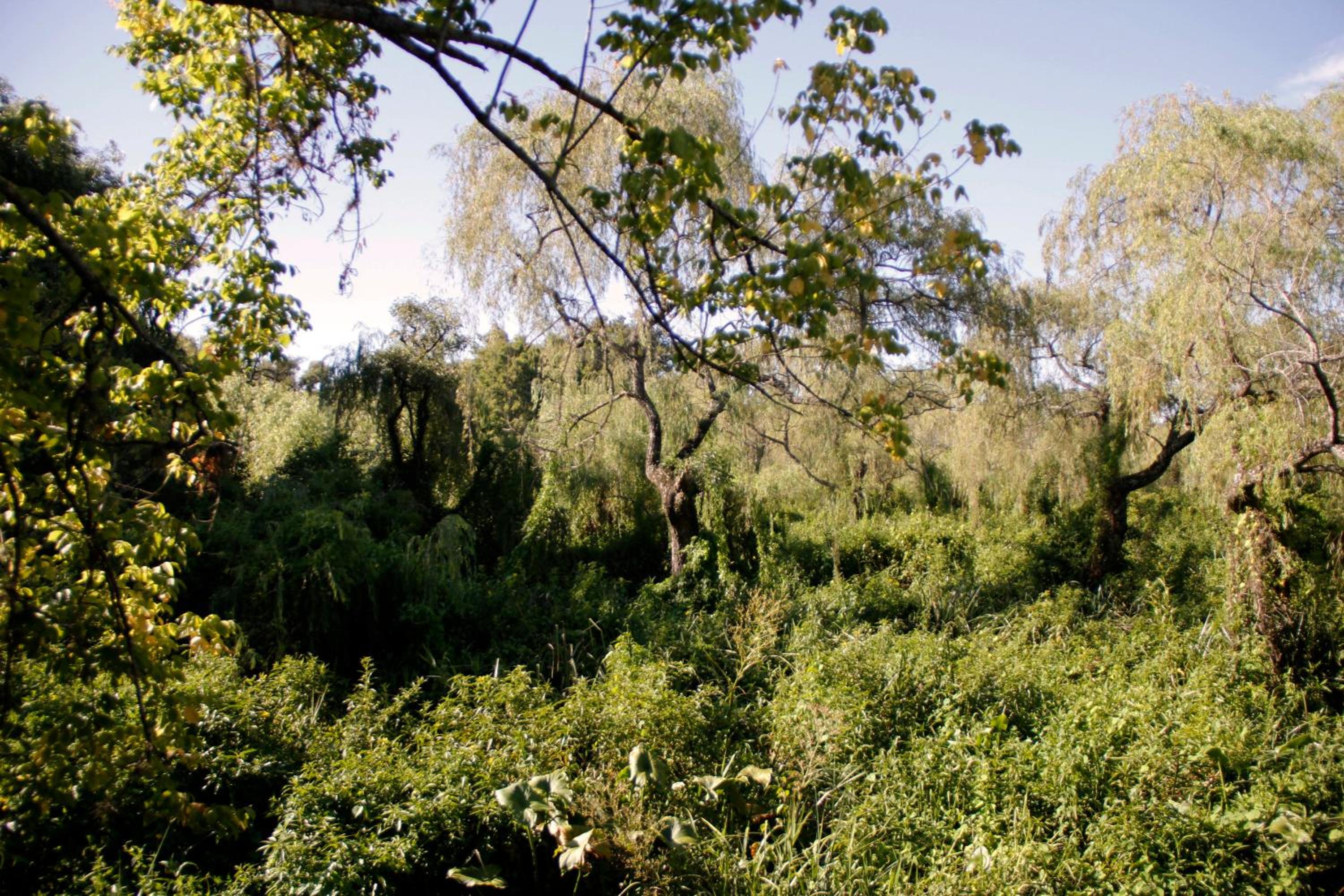 Cabaña Delta.LaSofi