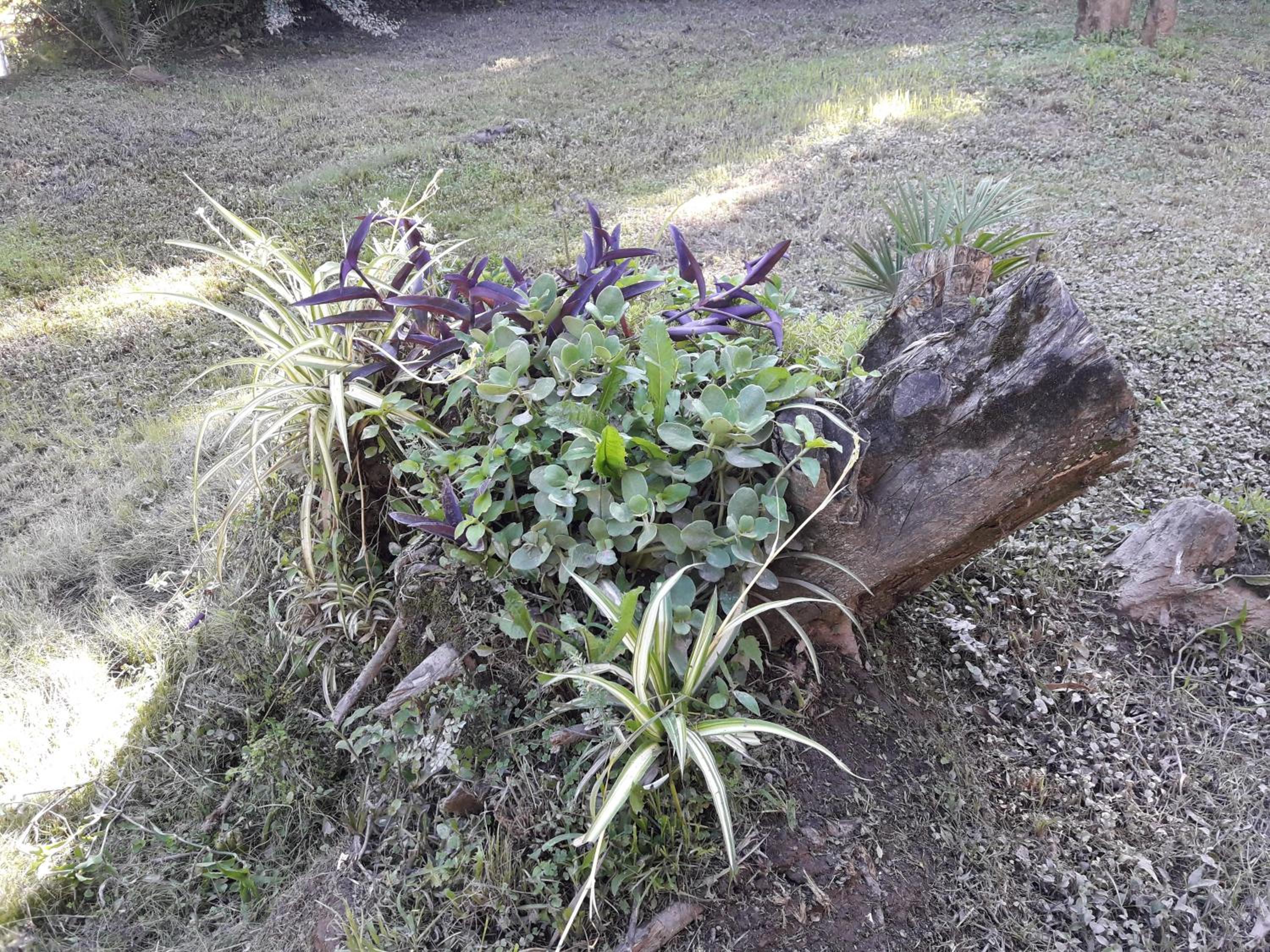 Cabaña Delta.LaSofi