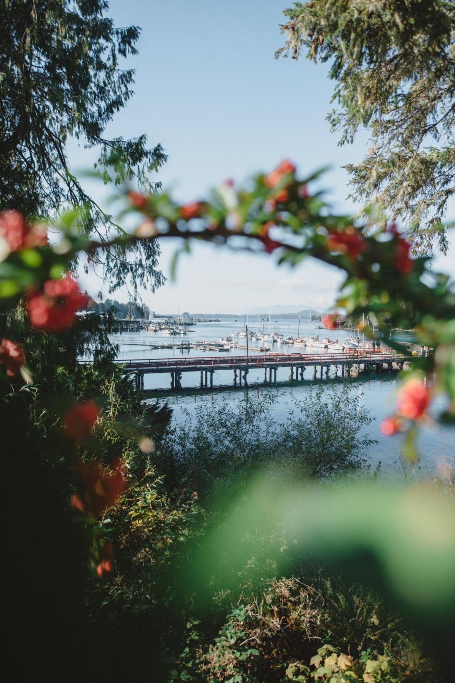 Tofino Vacations - The Shoreline Tofino - Property Image 12