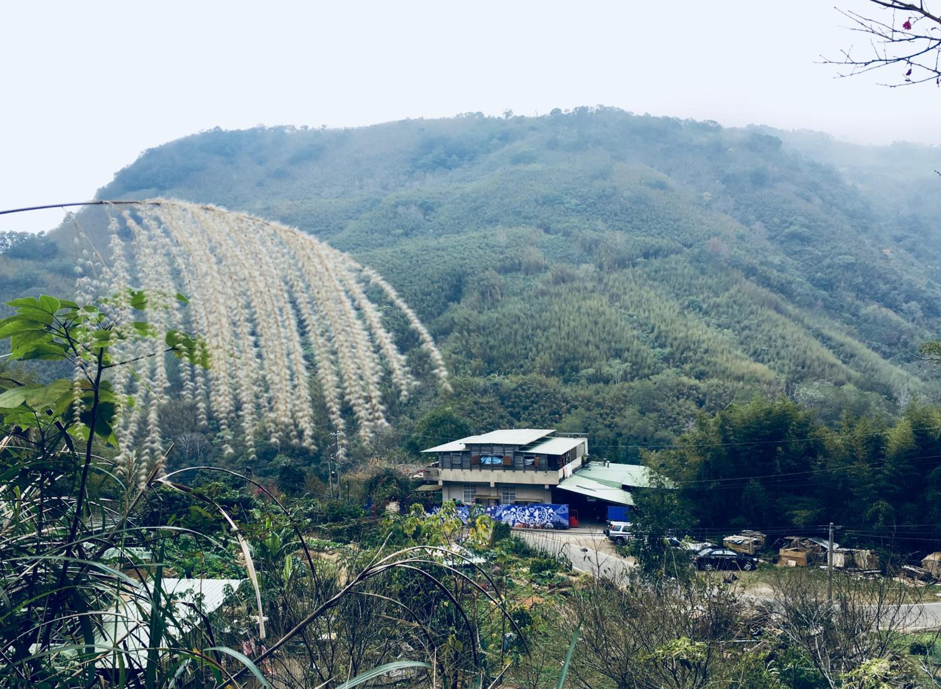 Shuitianfarm view 2