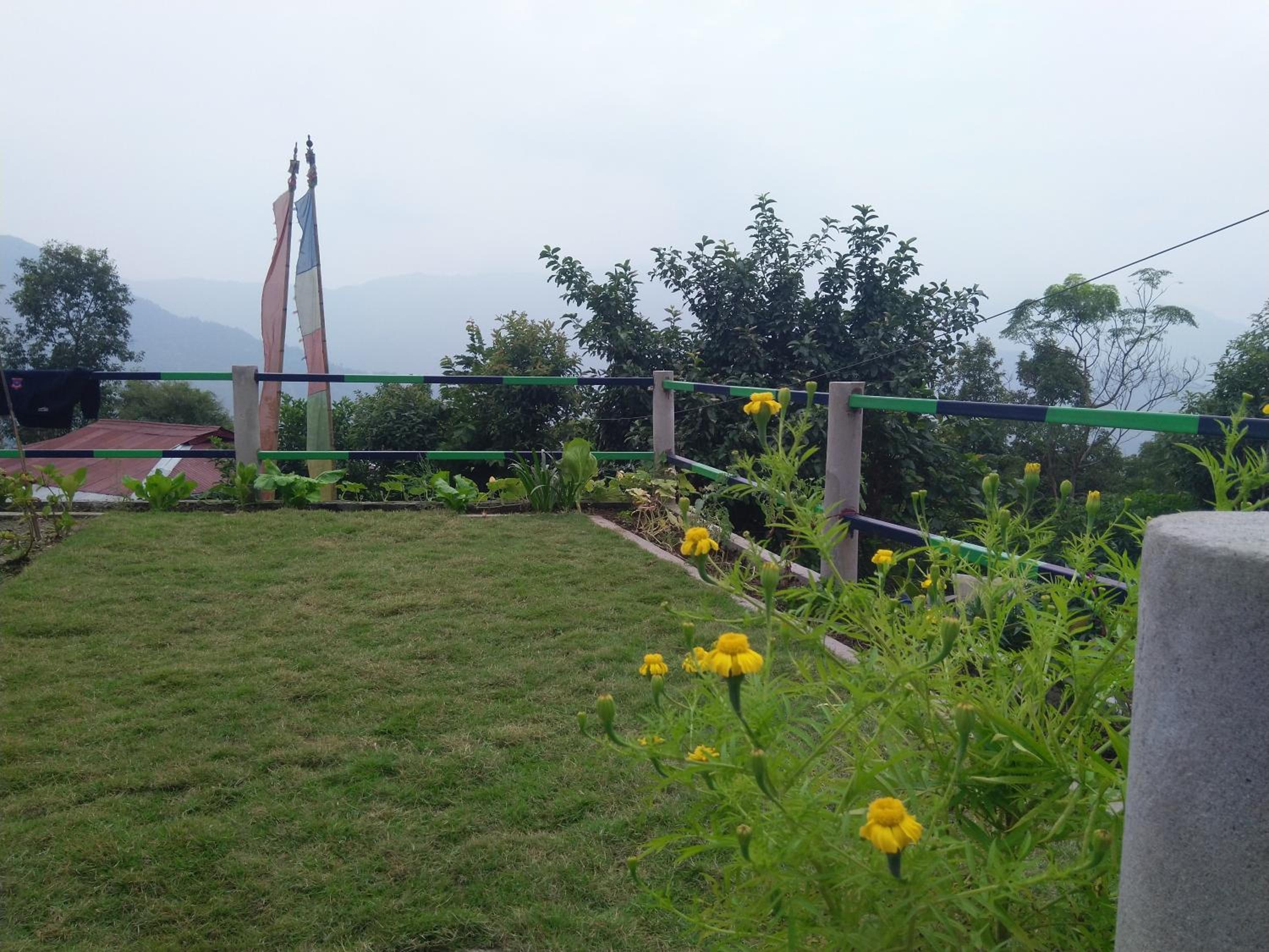 Photo 11
