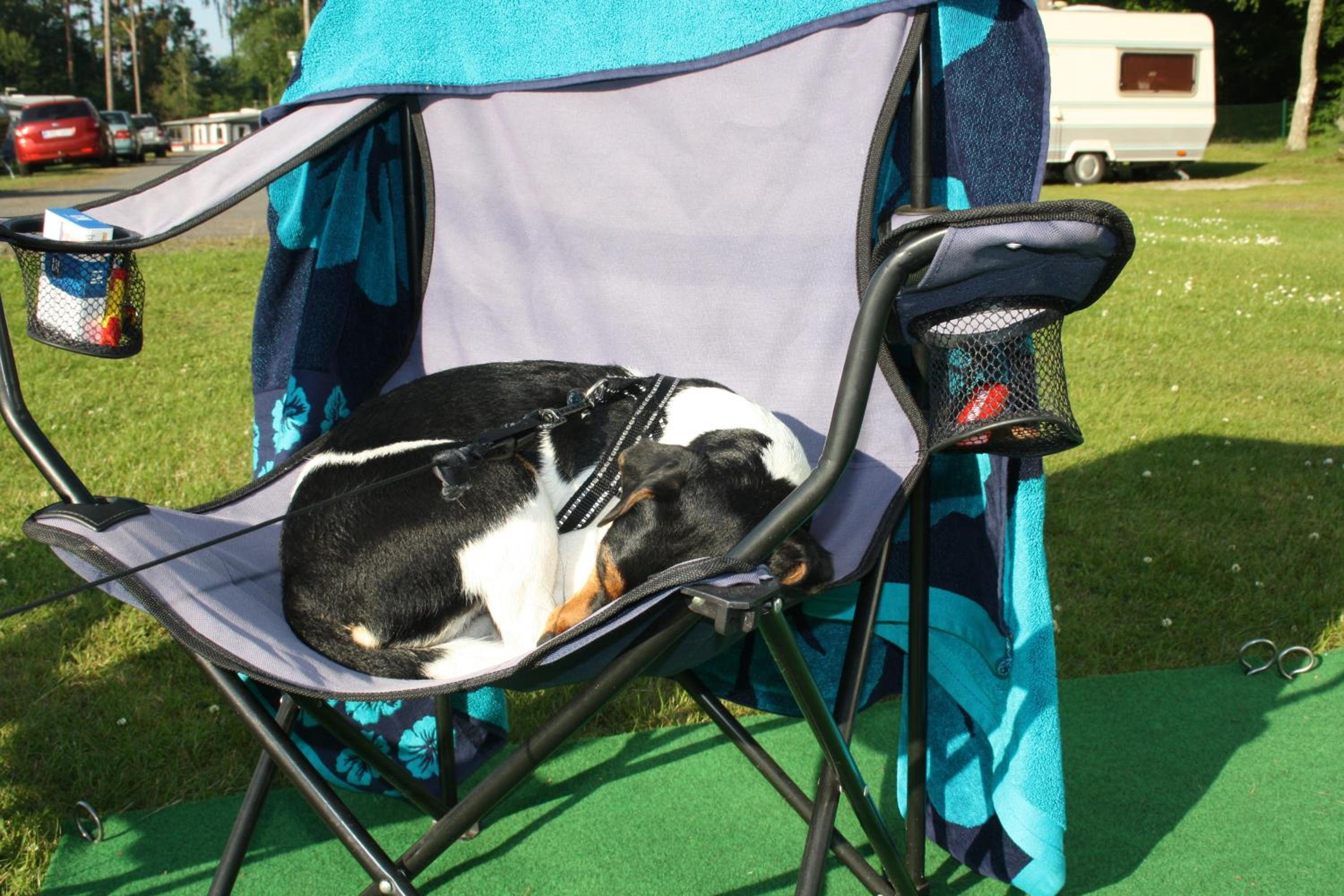 Bromölla Camping o Vandrarhem
